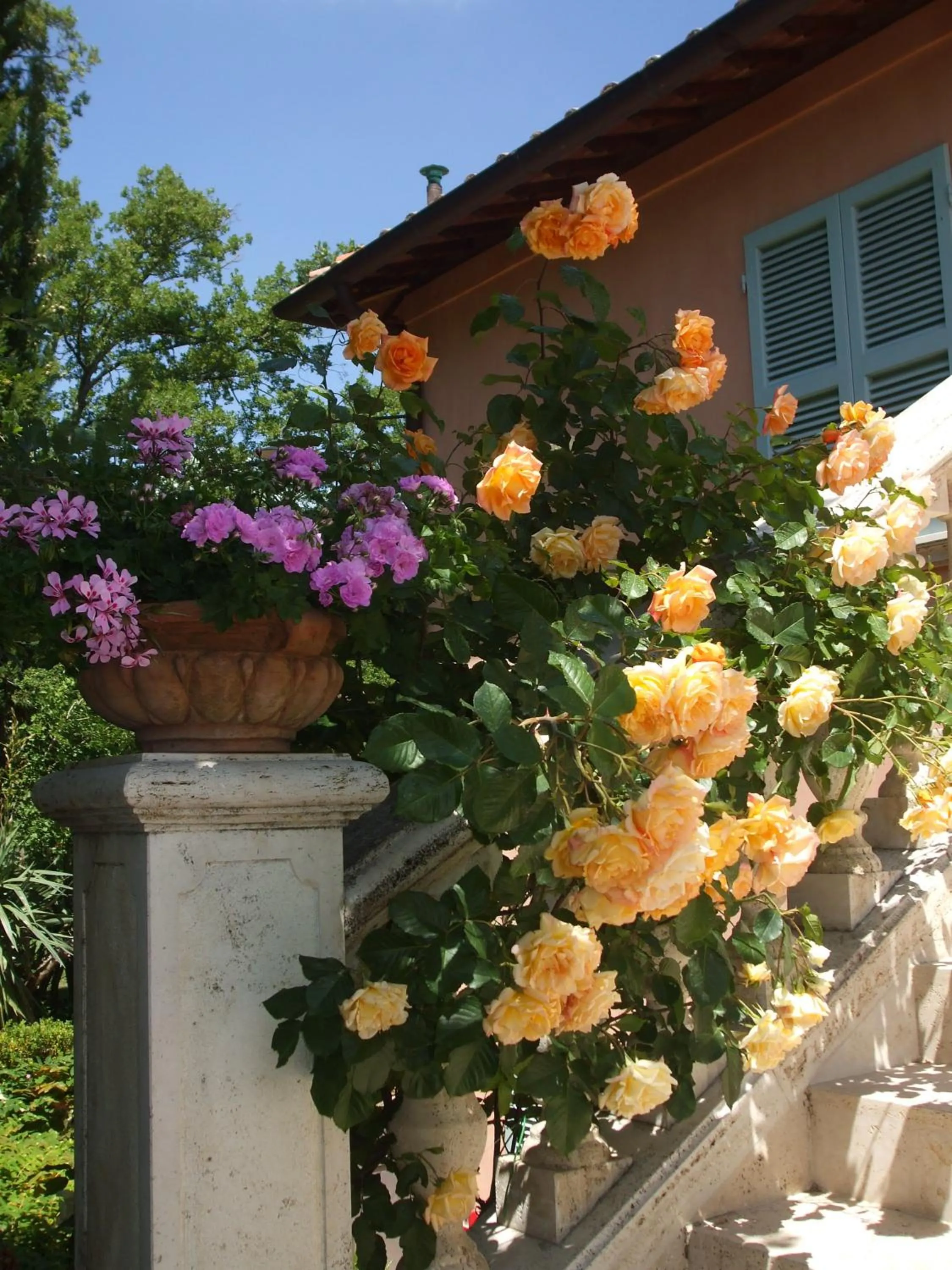 Natural landscape in Il Rondò Boutique Hotel