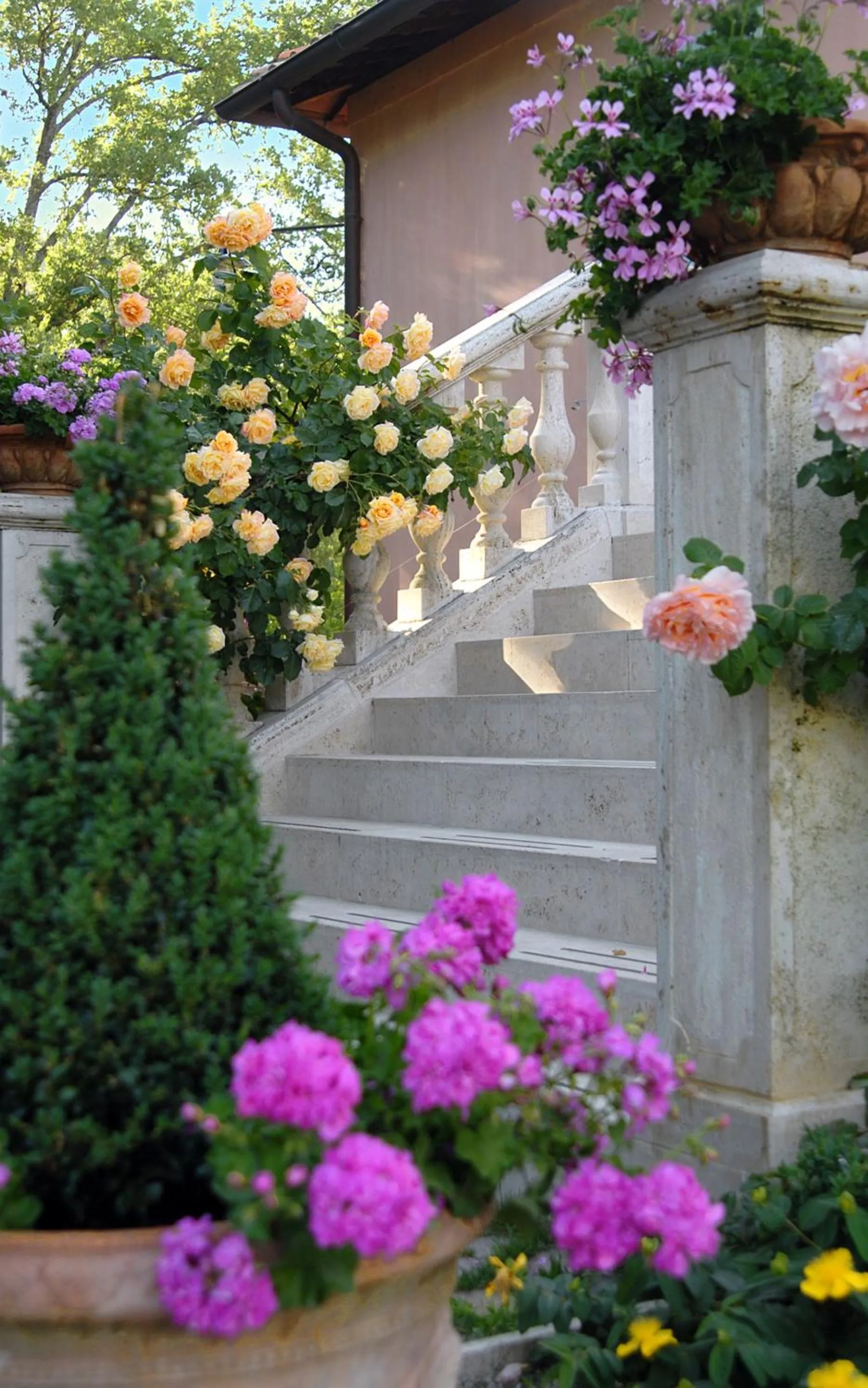 Garden view in Il Rondò Boutique Hotel
