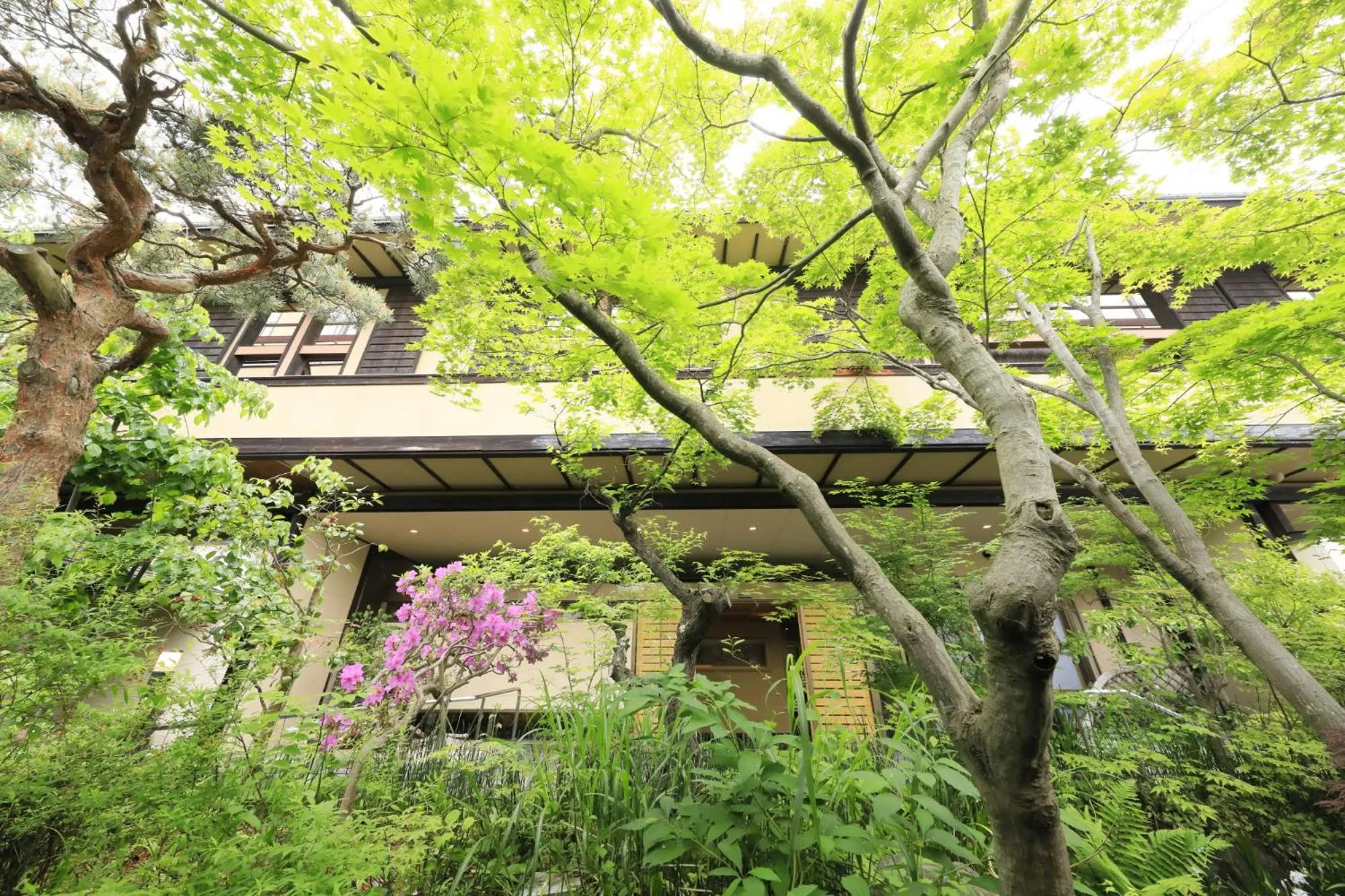 Property building in Hayamakan