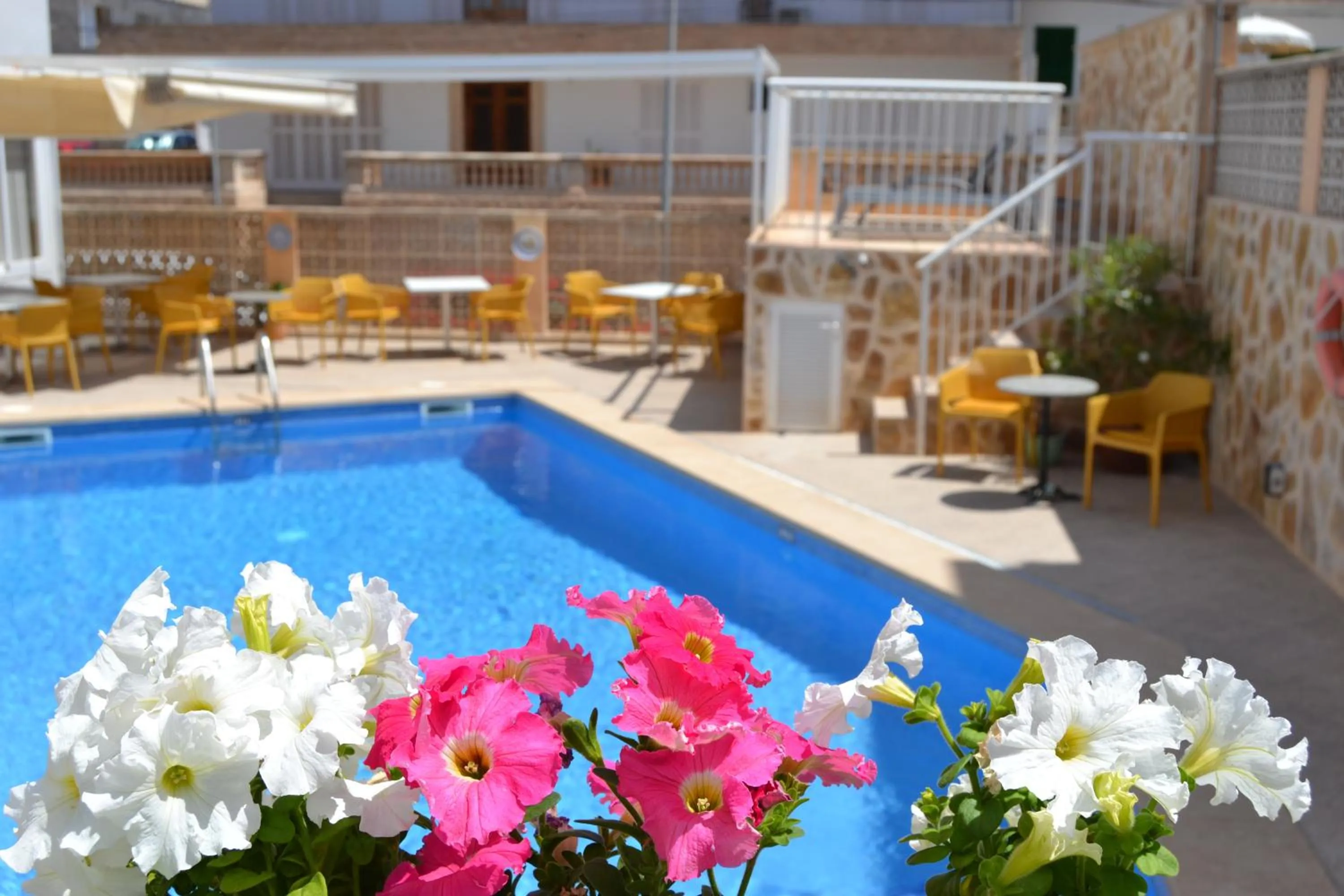 Swimming pool in Hotel Vista Sol Cala Rajada