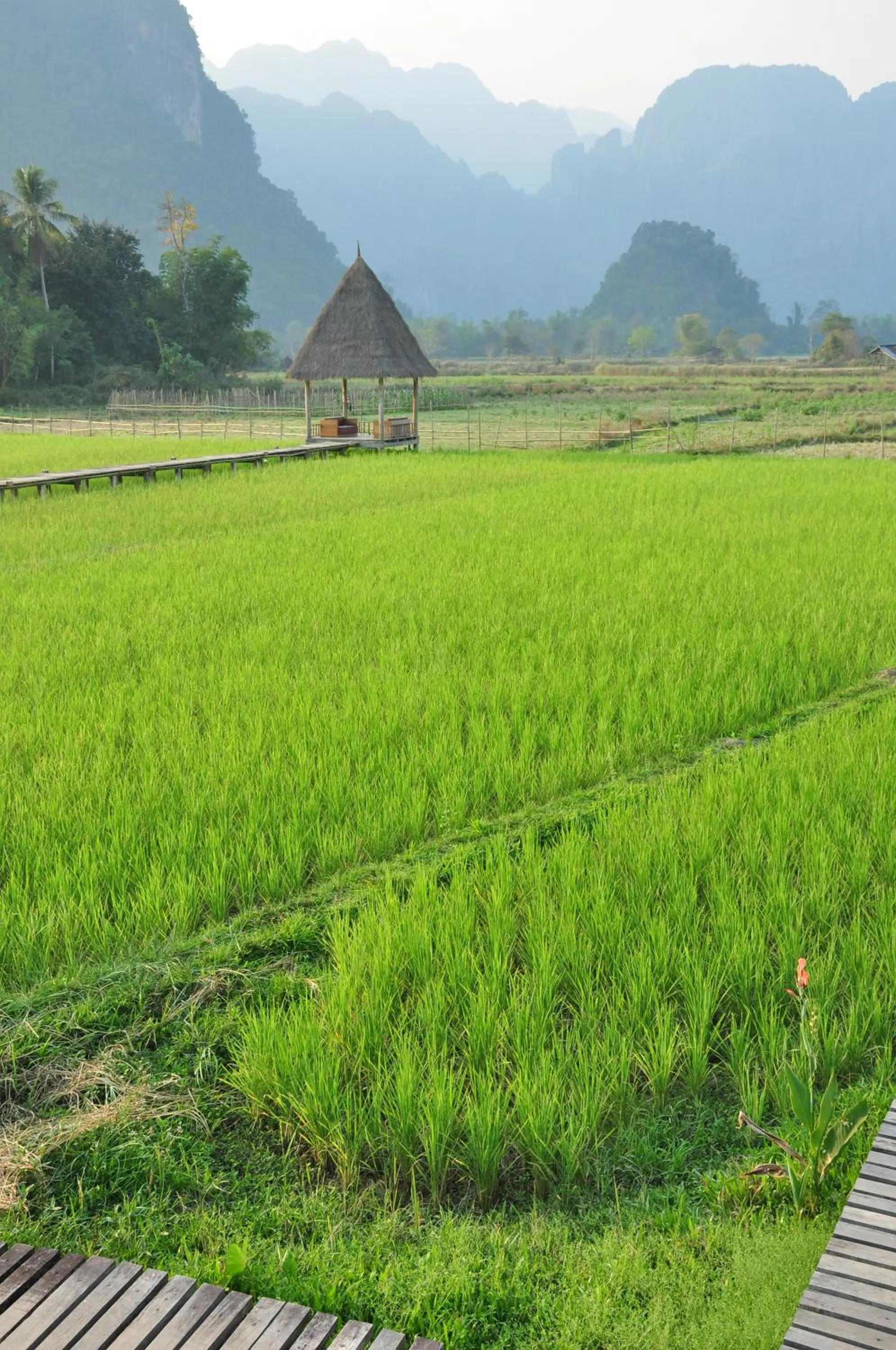 Natural landscape in ViengTara VangVieng Resort