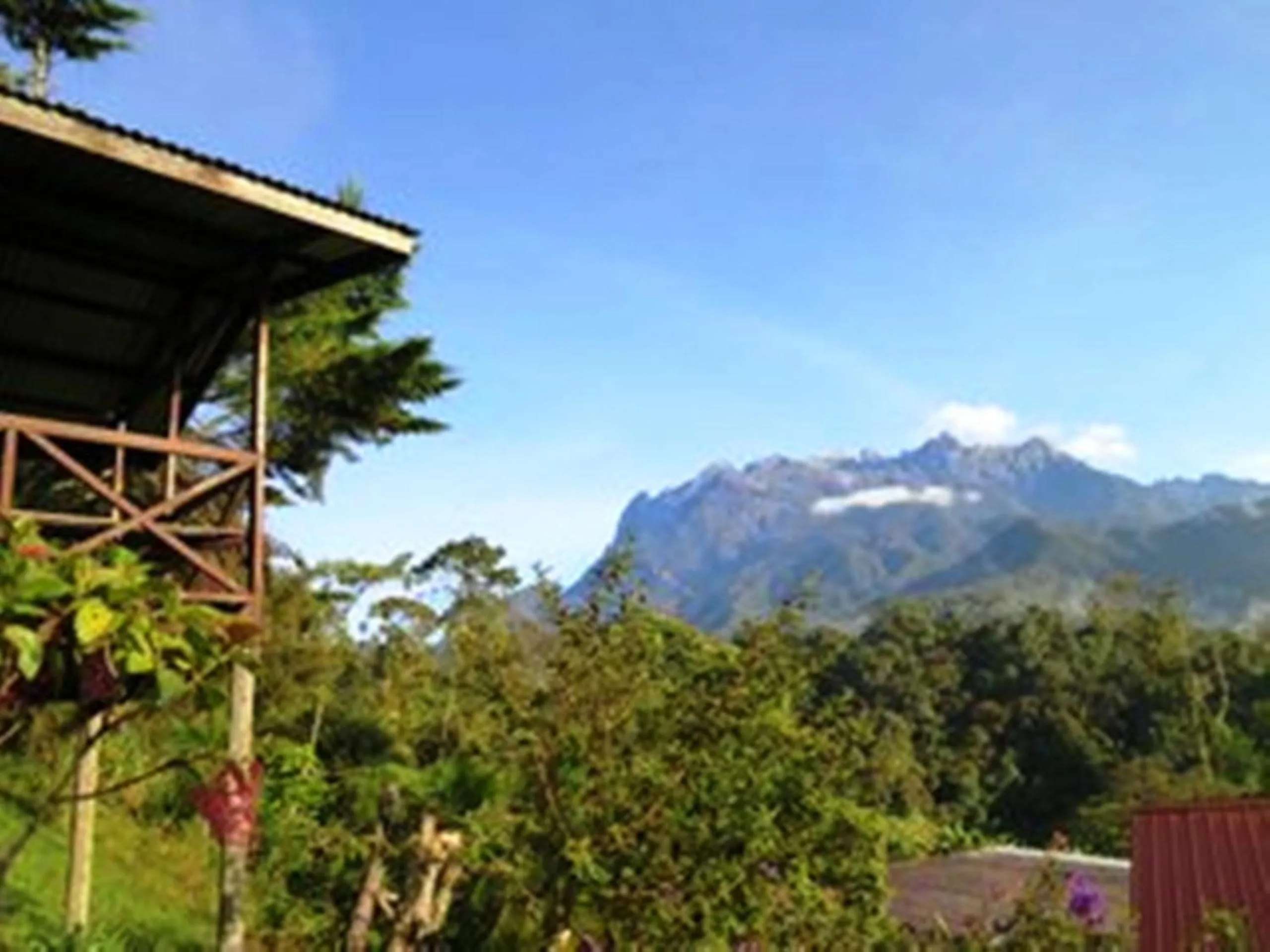 View (from property/room) in Mile 36 Lodge