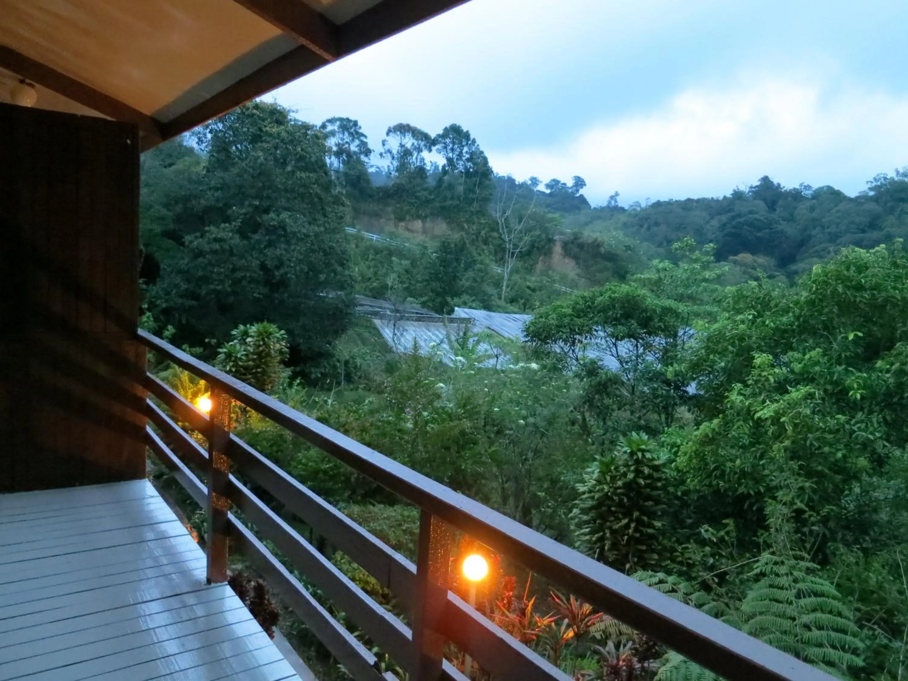 Natural landscape in Mile 36 Lodge