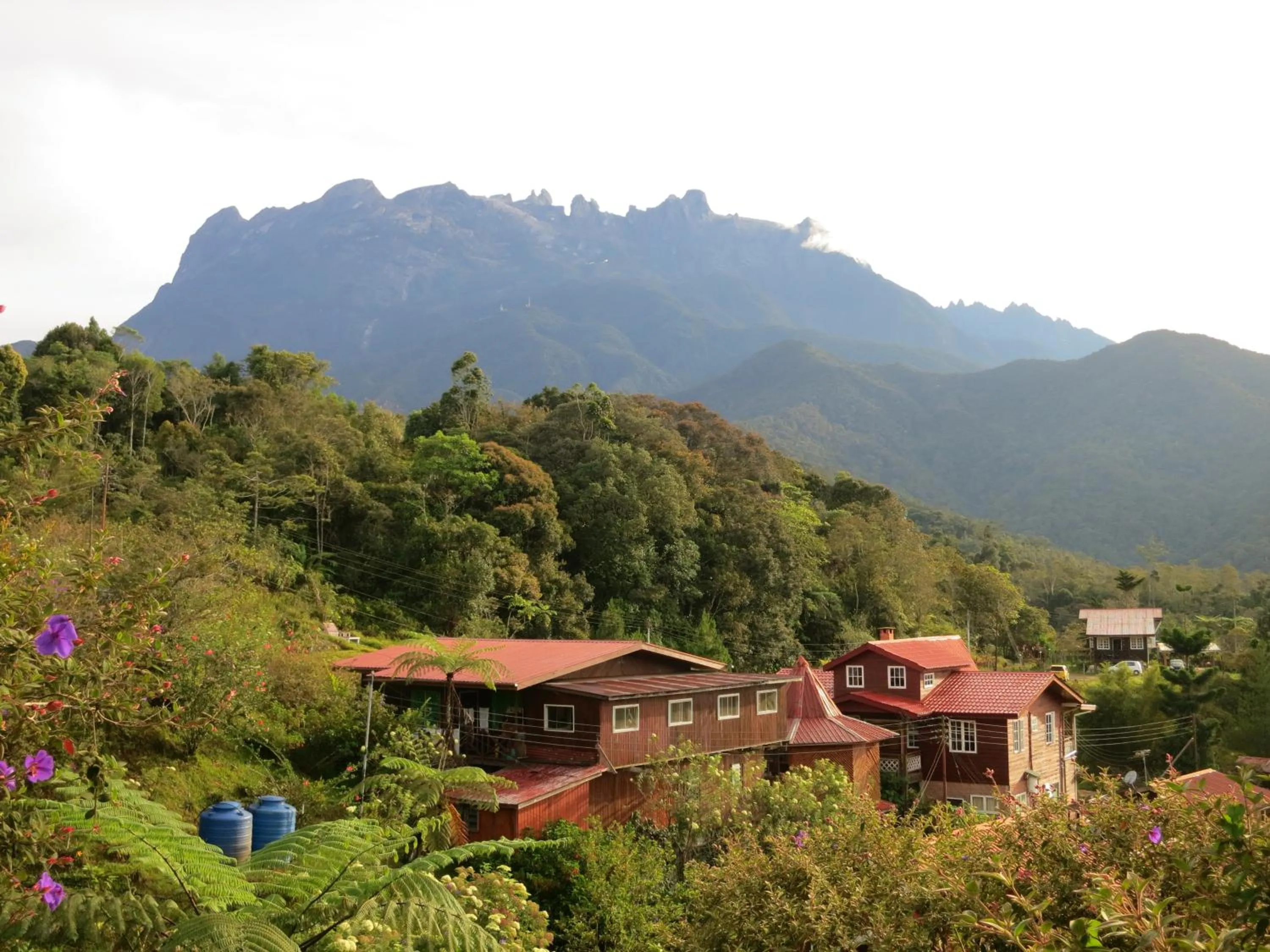 Mountain view in Mile 36 Lodge