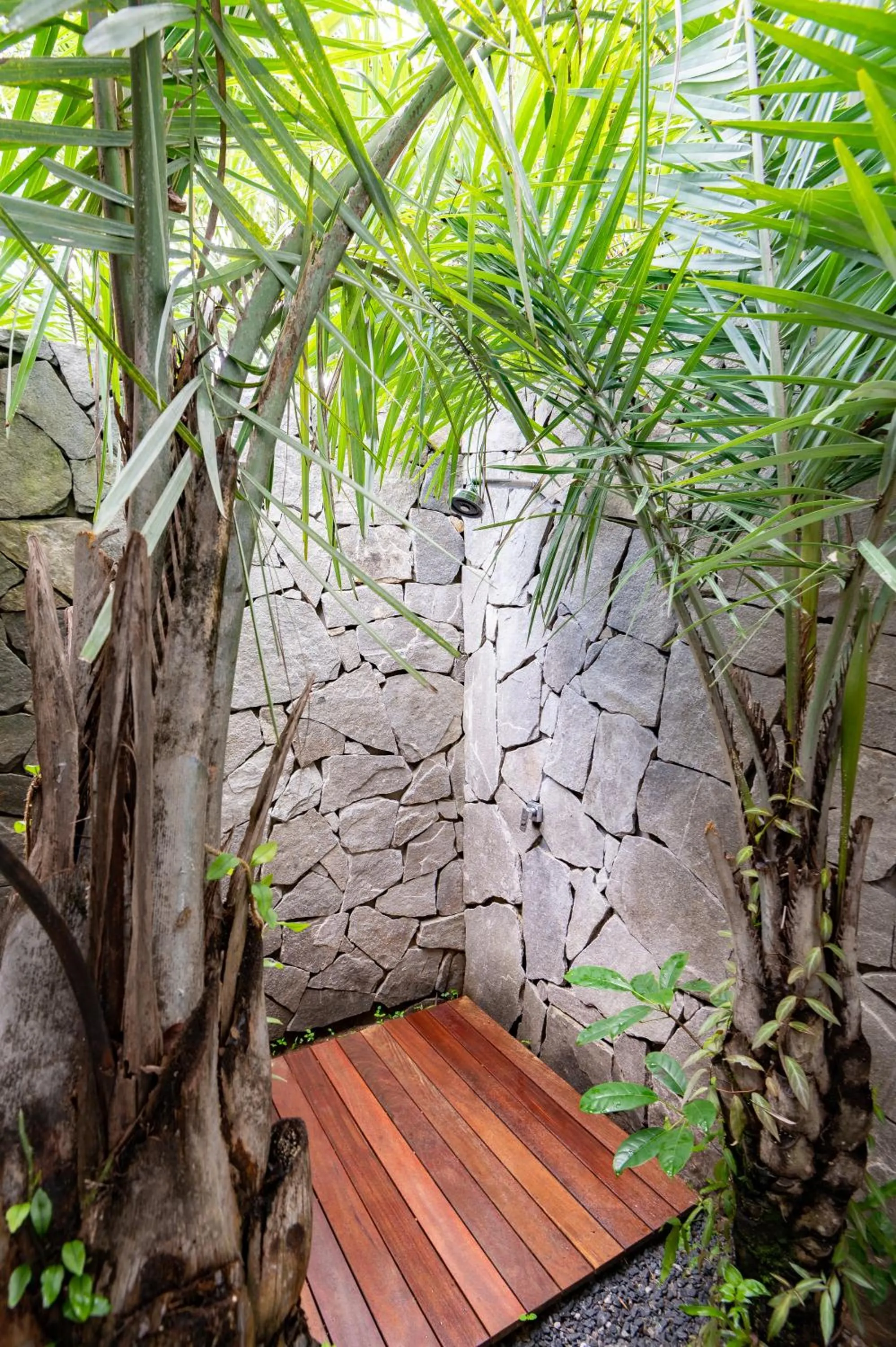 Bathroom in Colibri Beach Villas