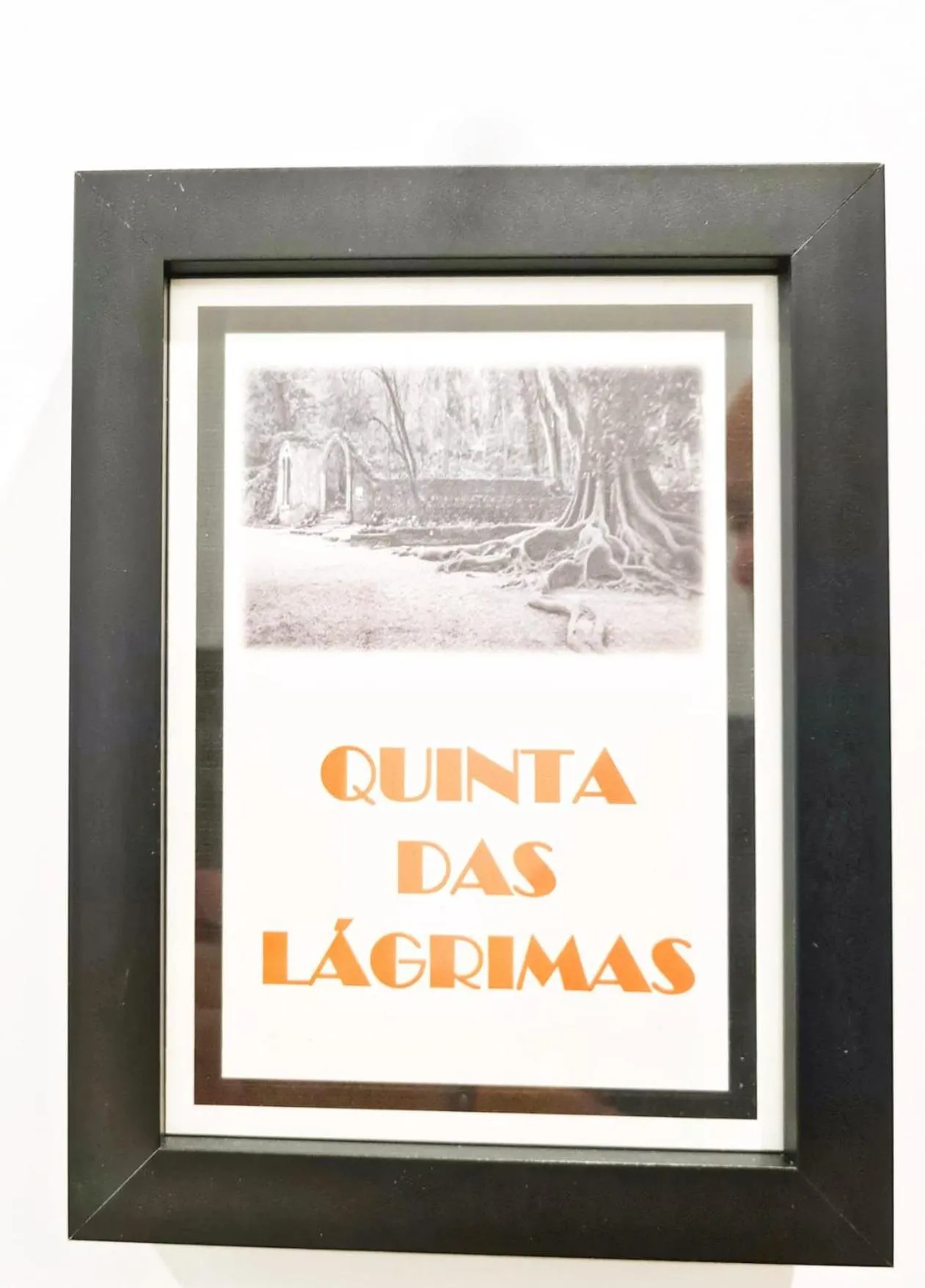 Property logo or sign in COIMBRA CITY CHARM