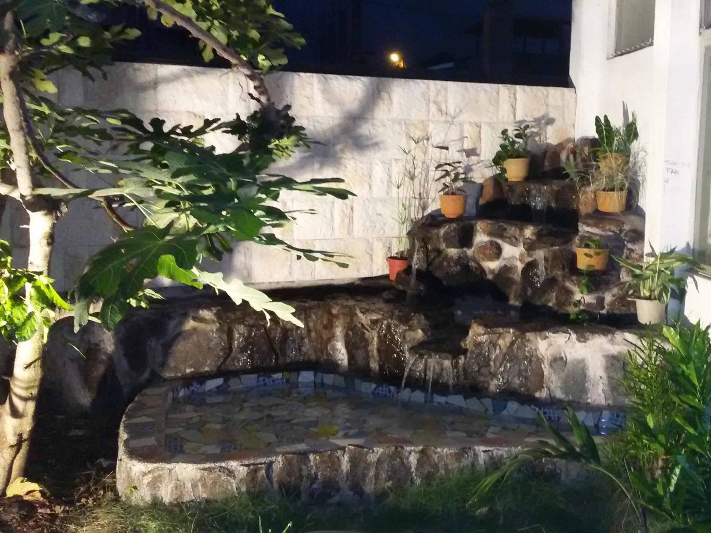 Garden in Hotel Islas Galapagos