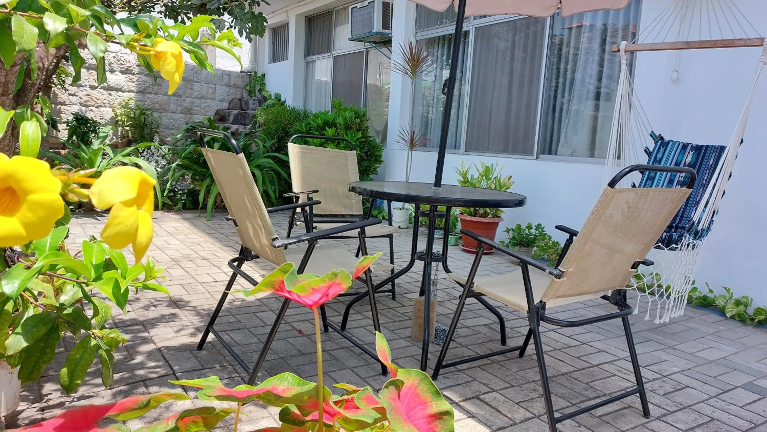 Patio in Hotel Islas Galapagos