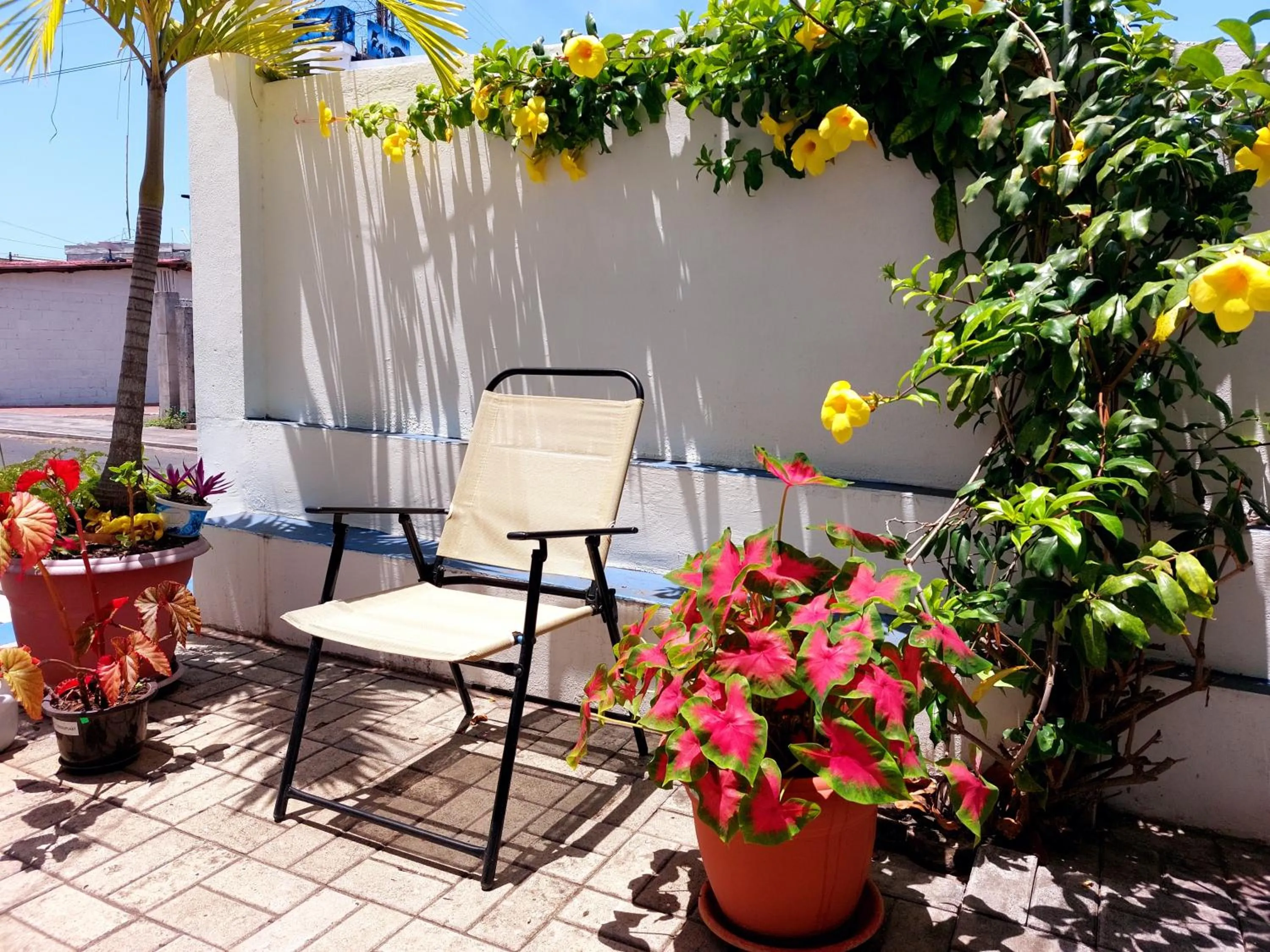 Patio in Hotel Islas Galapagos