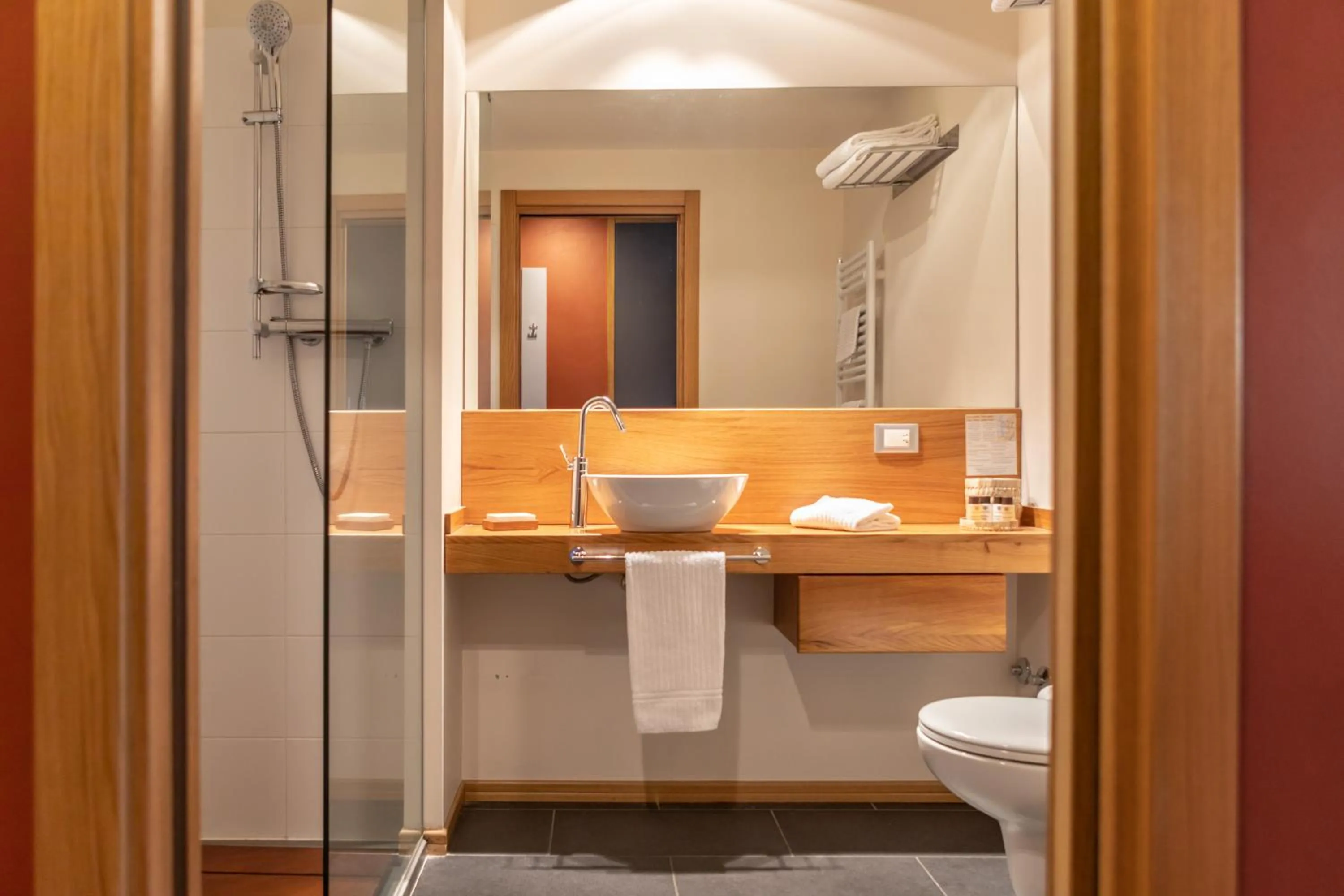 Shower in Hotel Cortese