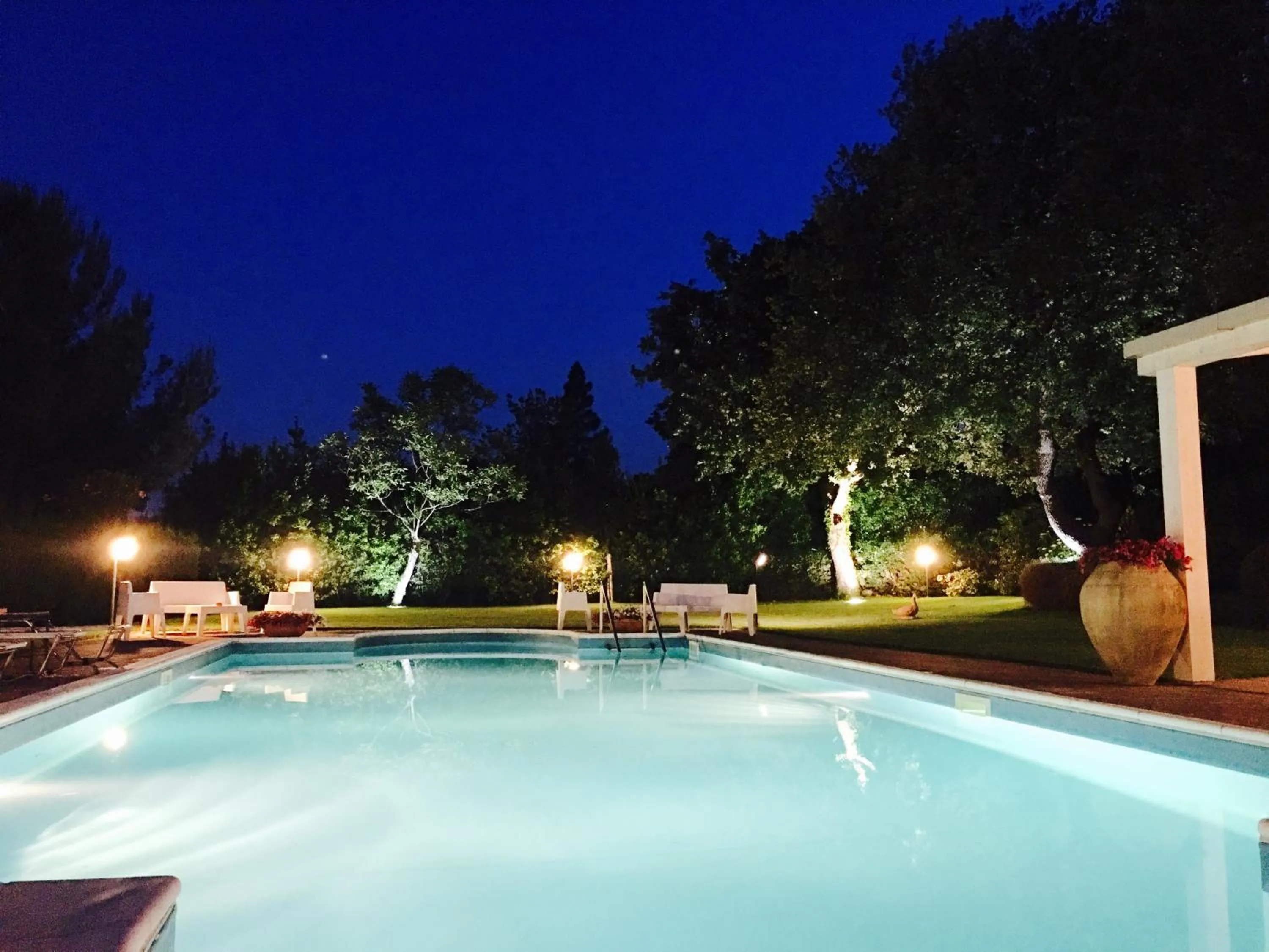 Swimming pool in Bed and Breakfast Il Glicine