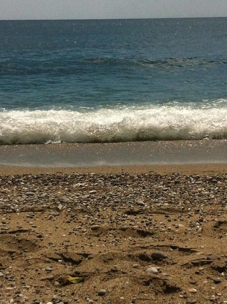 Natural landscape in Bed and Breakfast Il Glicine