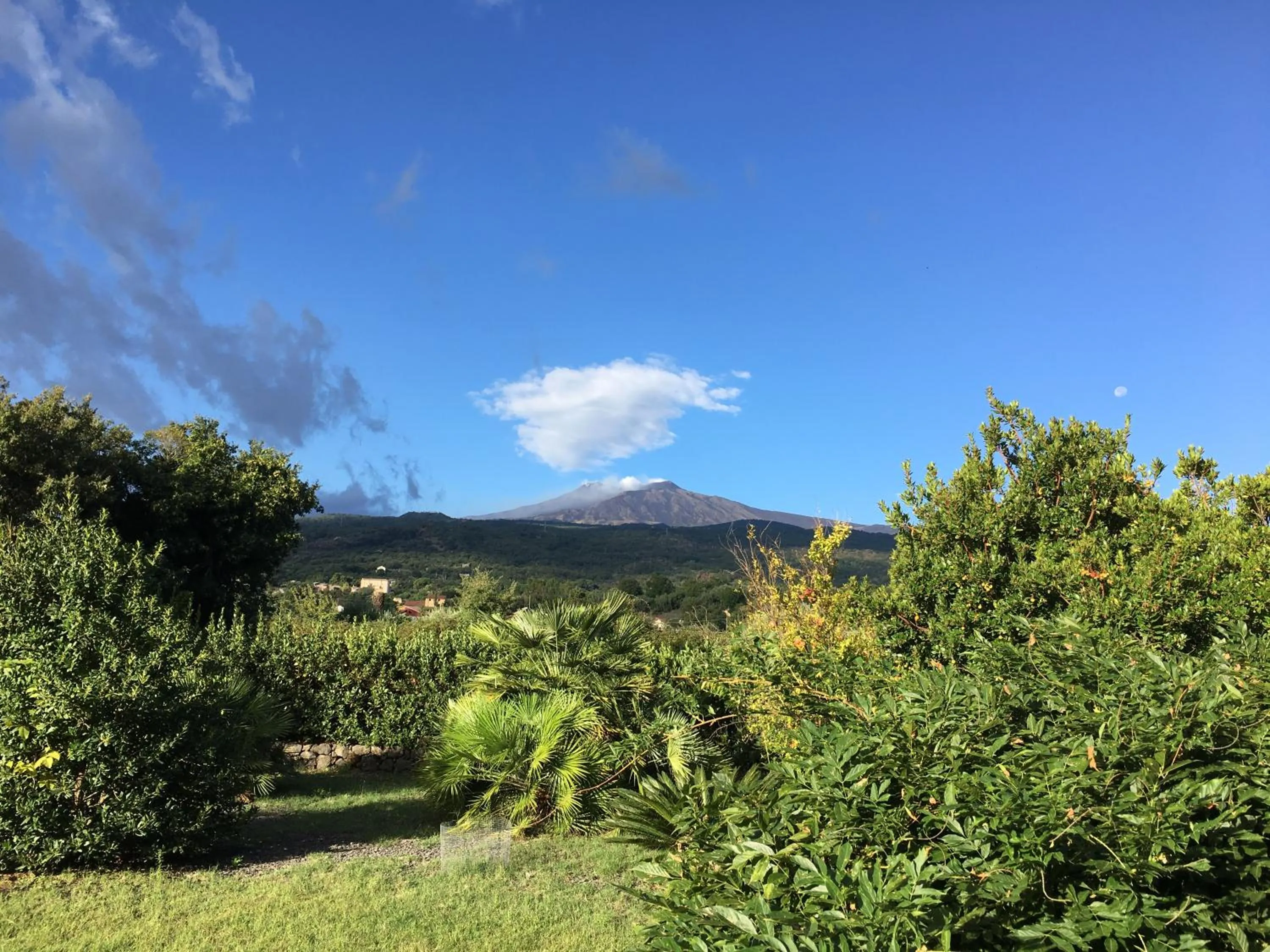 Natural landscape in Bed and Breakfast Il Glicine