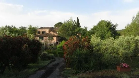 Property building in Bed and Breakfast Il Glicine