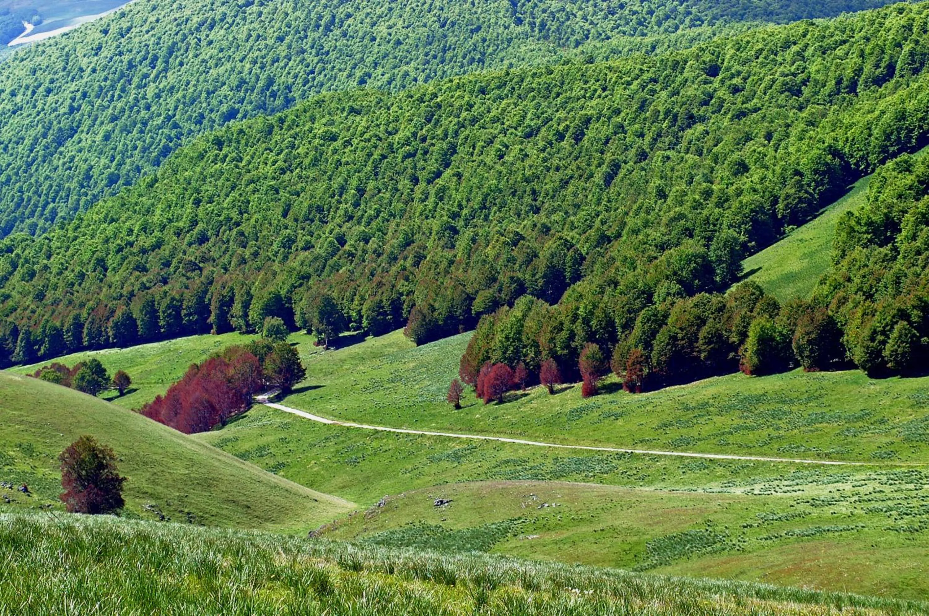 Day in Bed & Breakfast Al Ponte