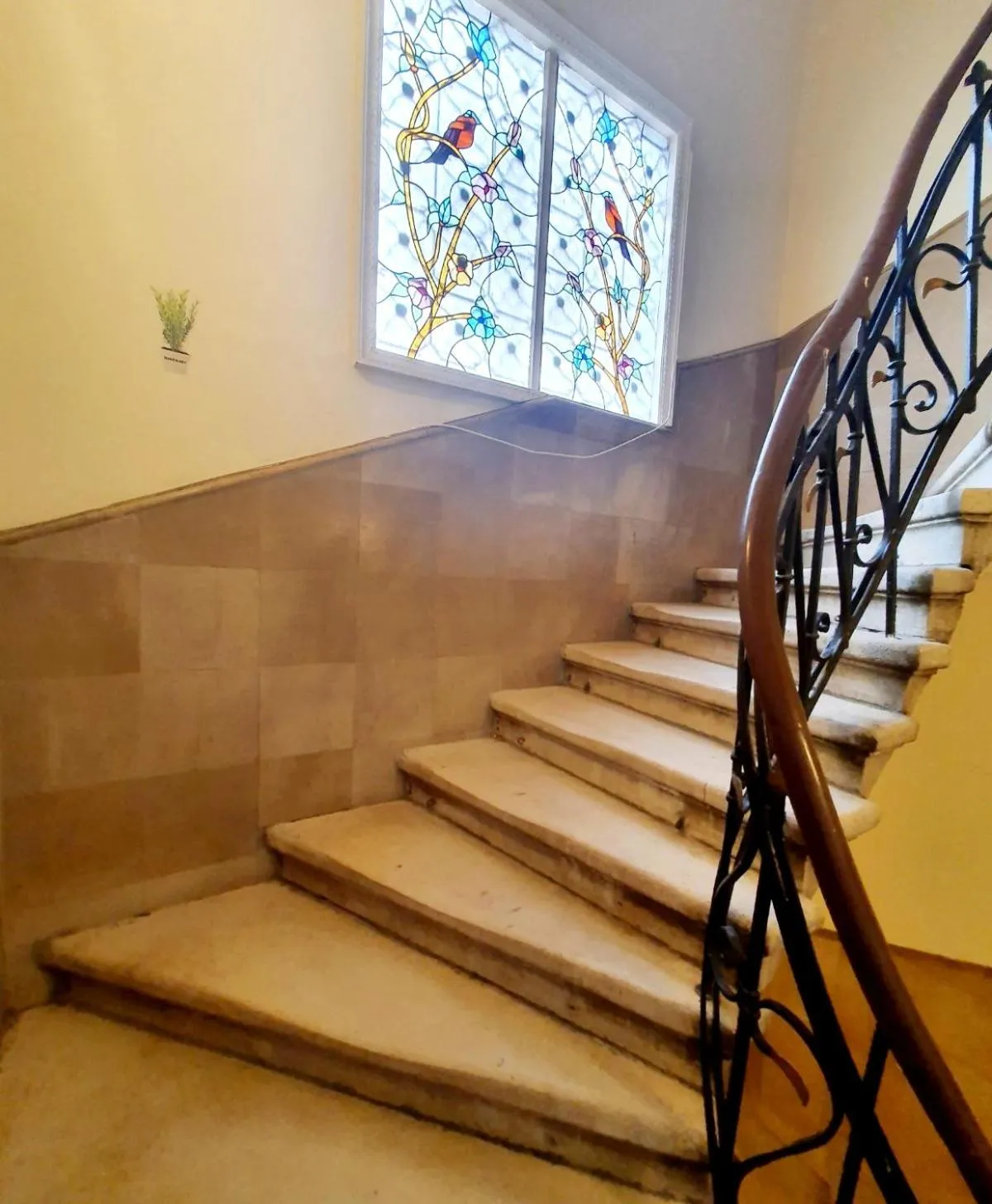 Property building in Hotello