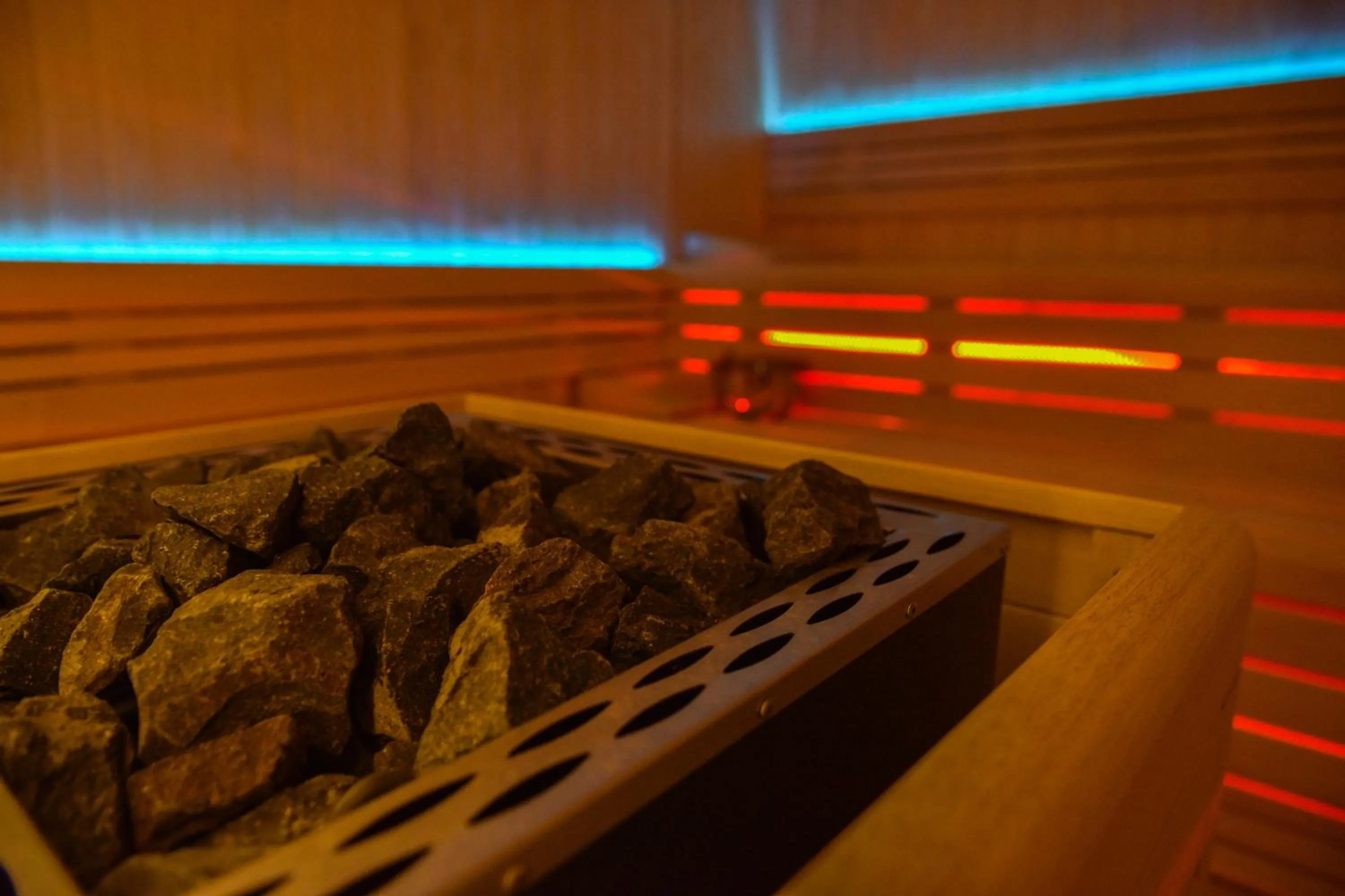 Sauna in Hotel Monarch