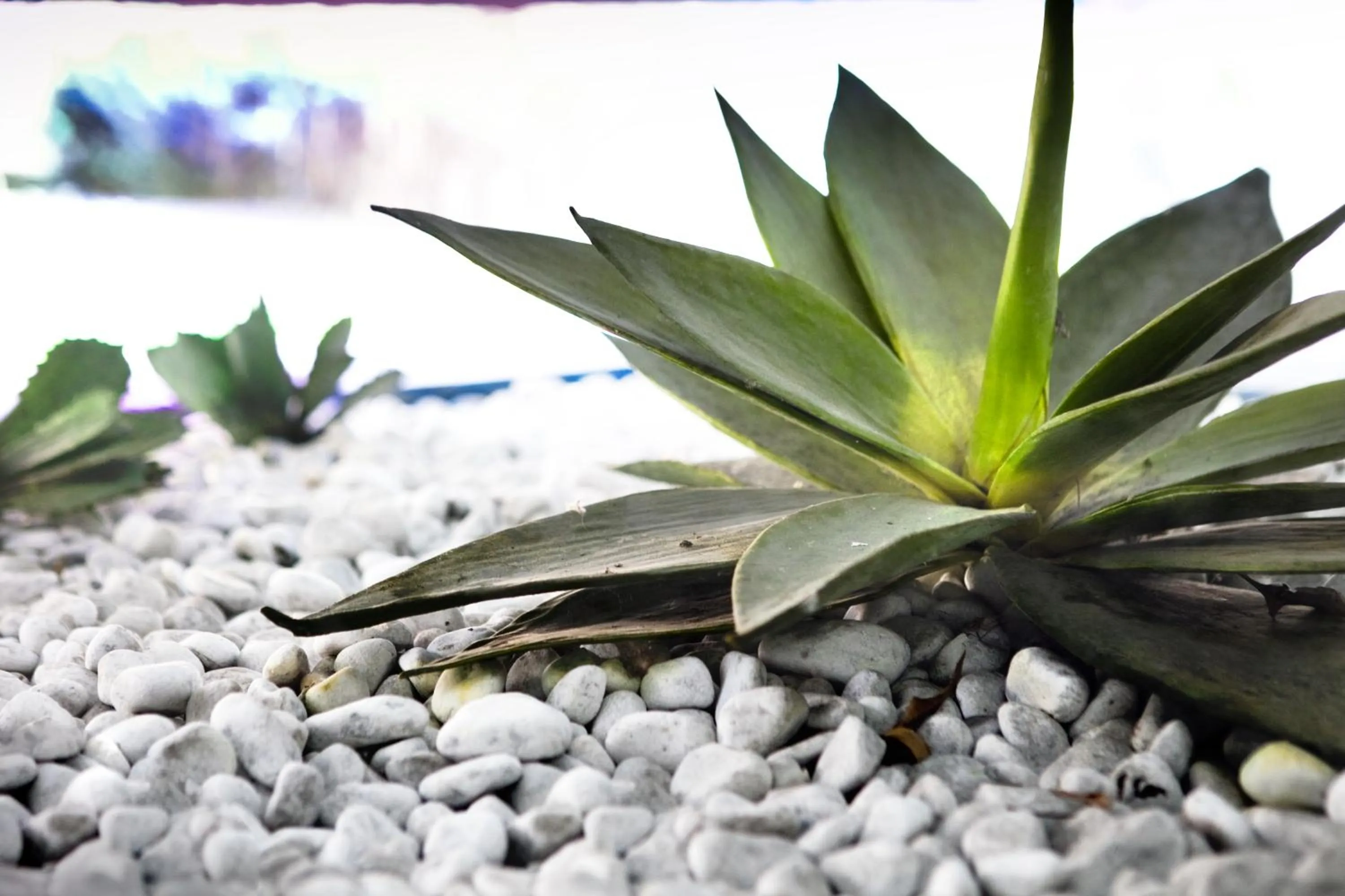 Other in Hotel Leonardo