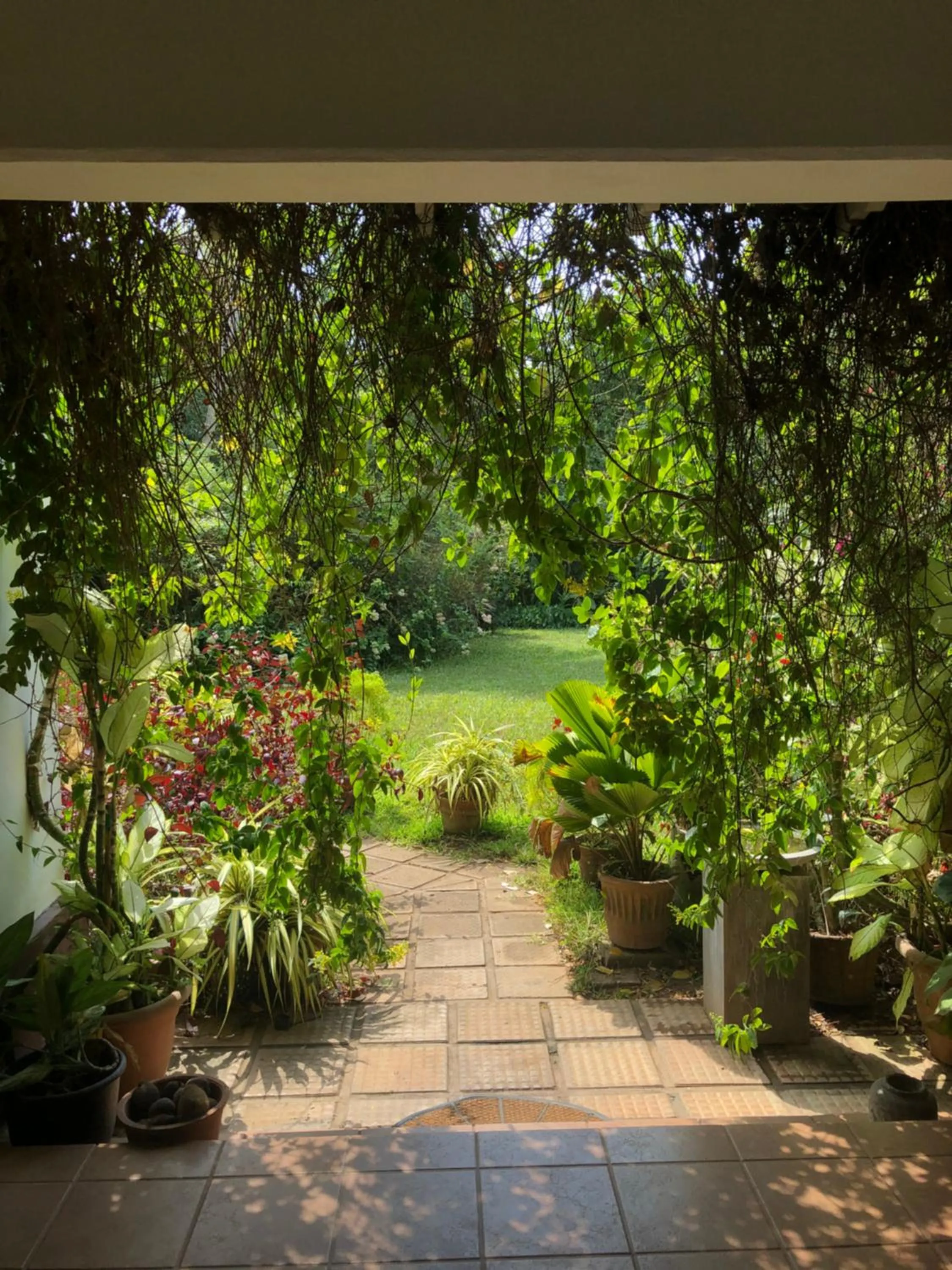 Garden in The Villa Green Inn