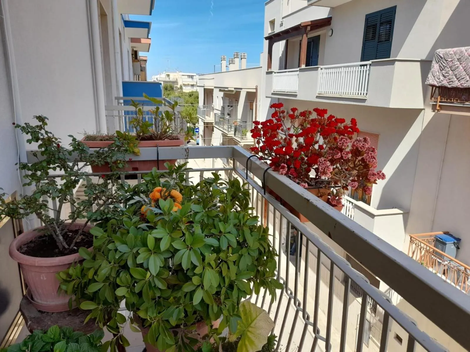 Property building in B&B familiare Arcadia Polignano