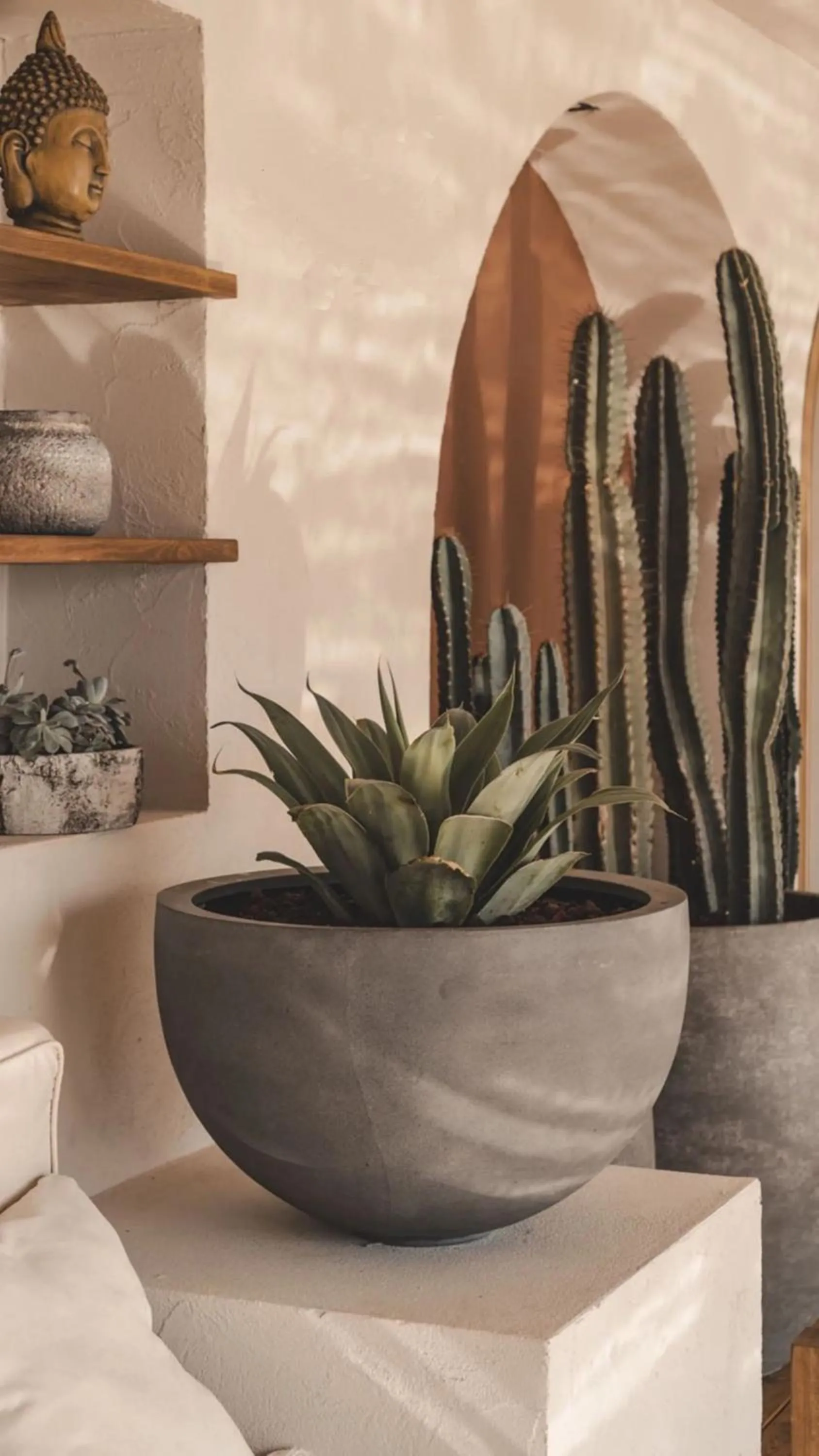 Restaurant/places to eat in Kalia Beach Hotel Side