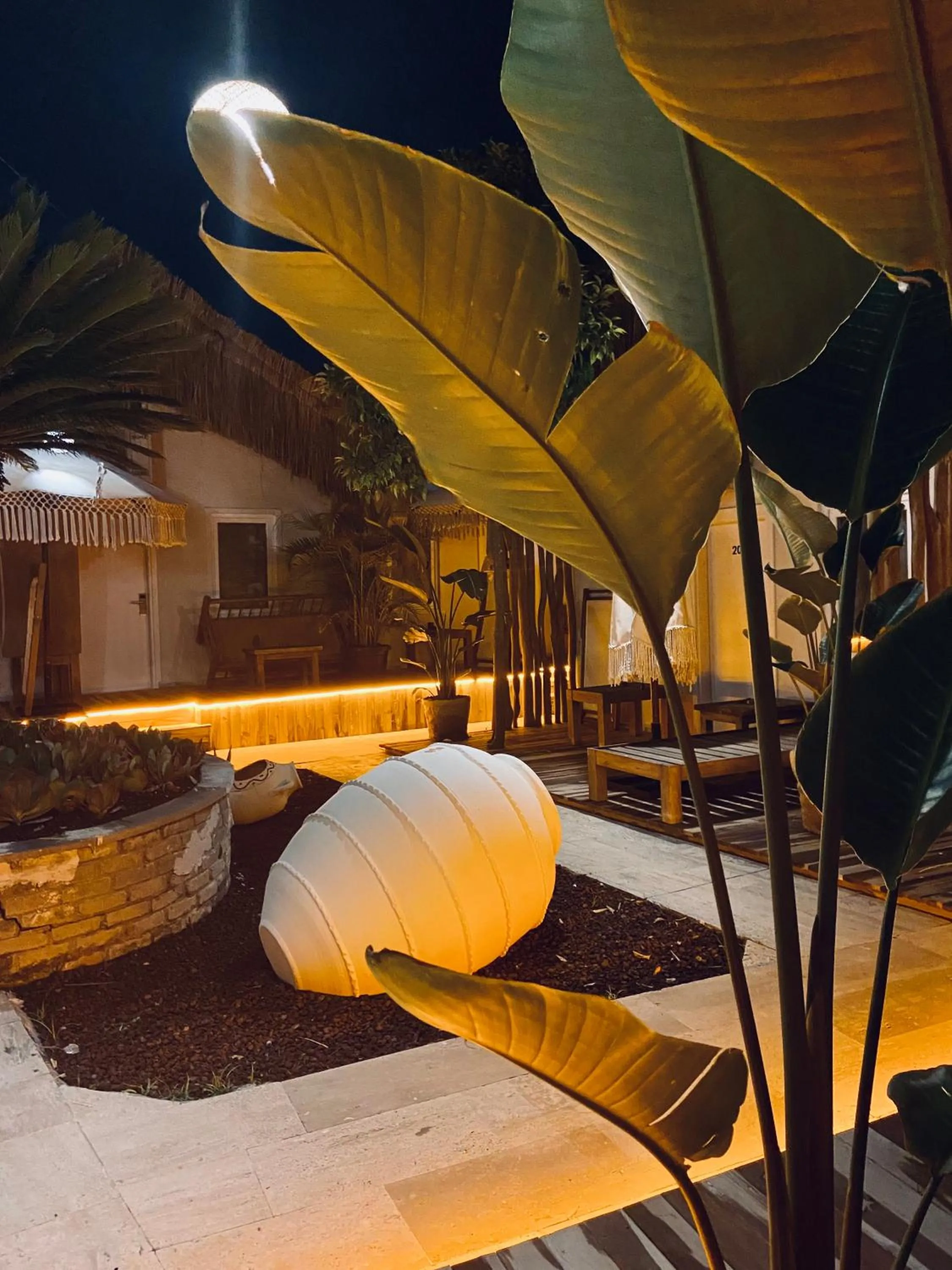 Patio in Kalia Beach Hotel Side