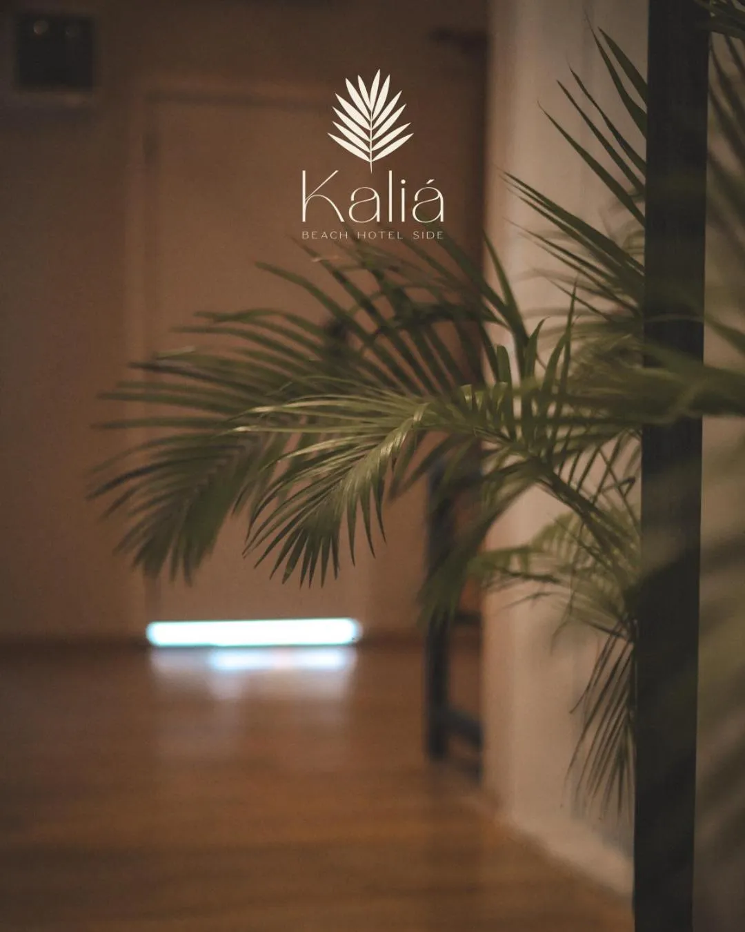 Property logo or sign in Kalia Beach Hotel Side