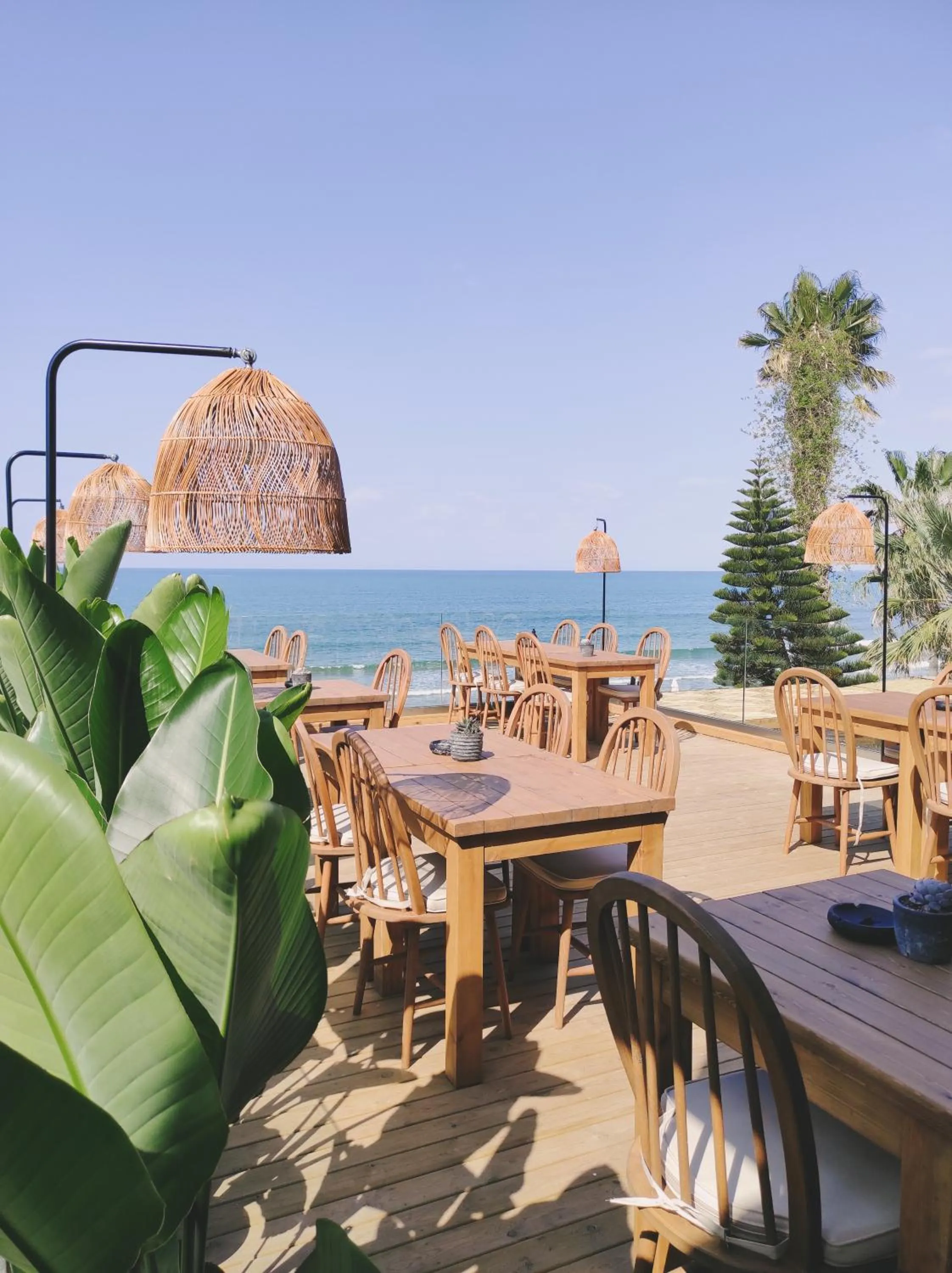 Restaurant/places to eat in Kalia Beach Hotel Side