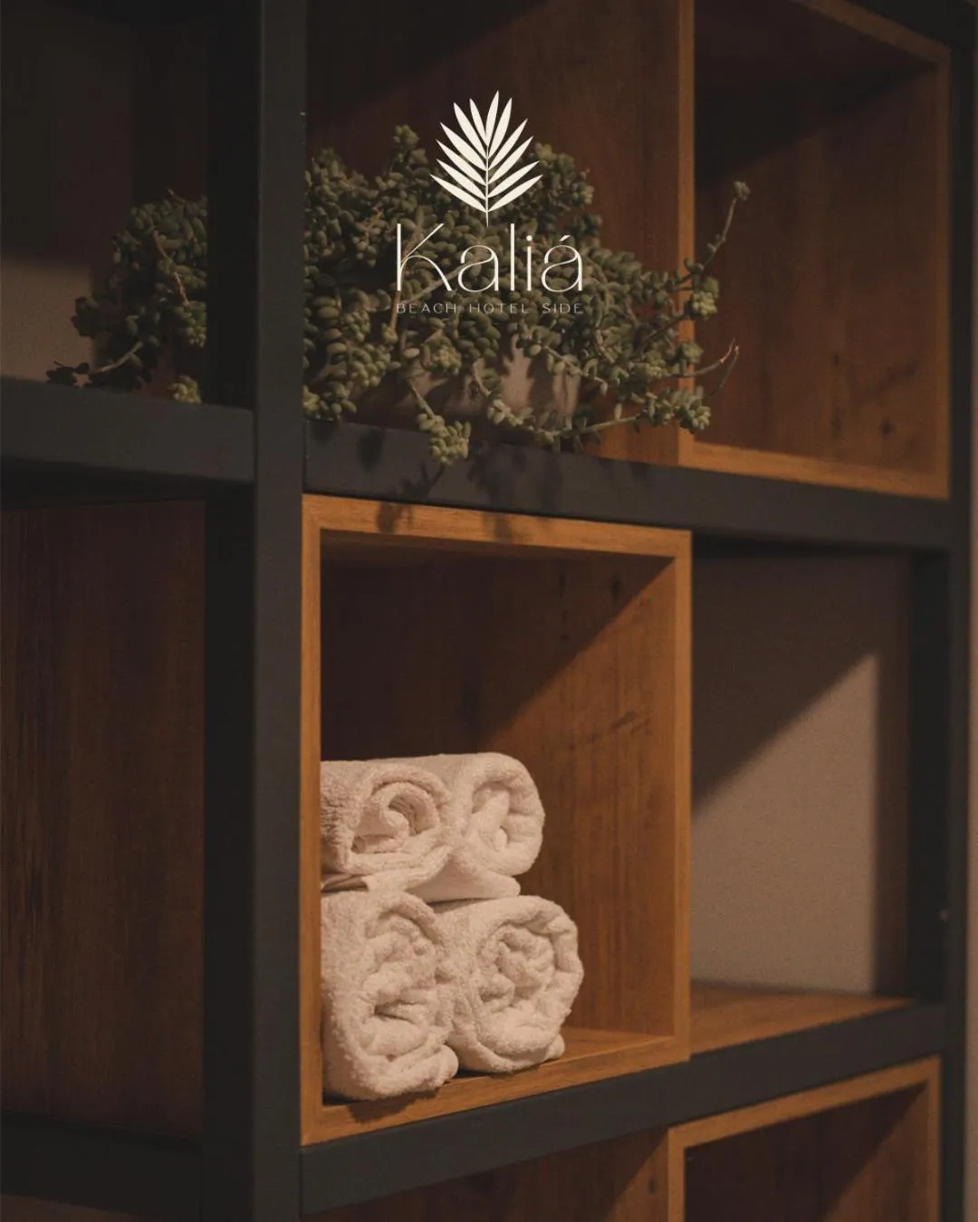 towels in Kalia Beach Hotel Side