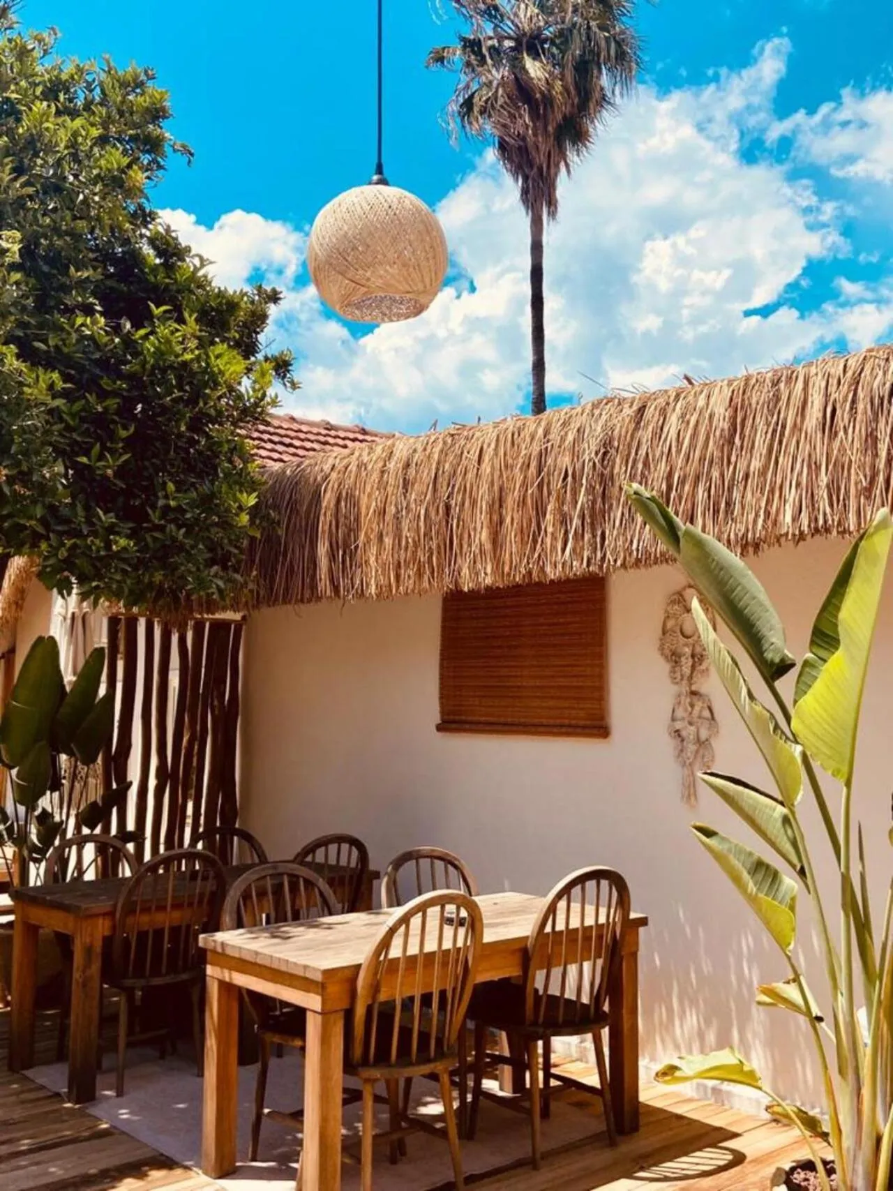 Patio in Kalia Beach Hotel Side