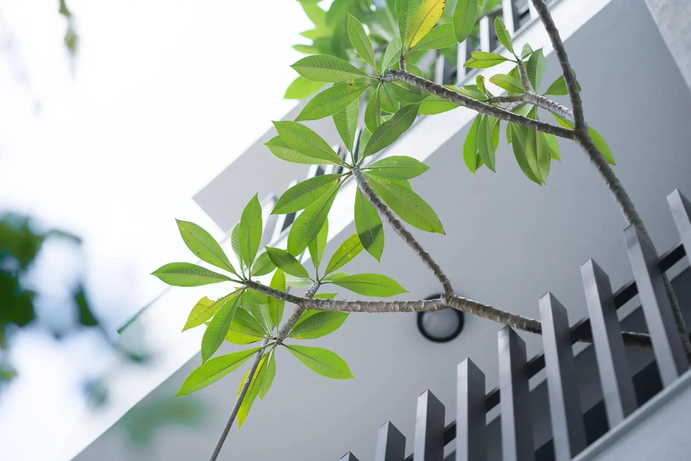 Property building in The Way Inn Property building in The Way Inn