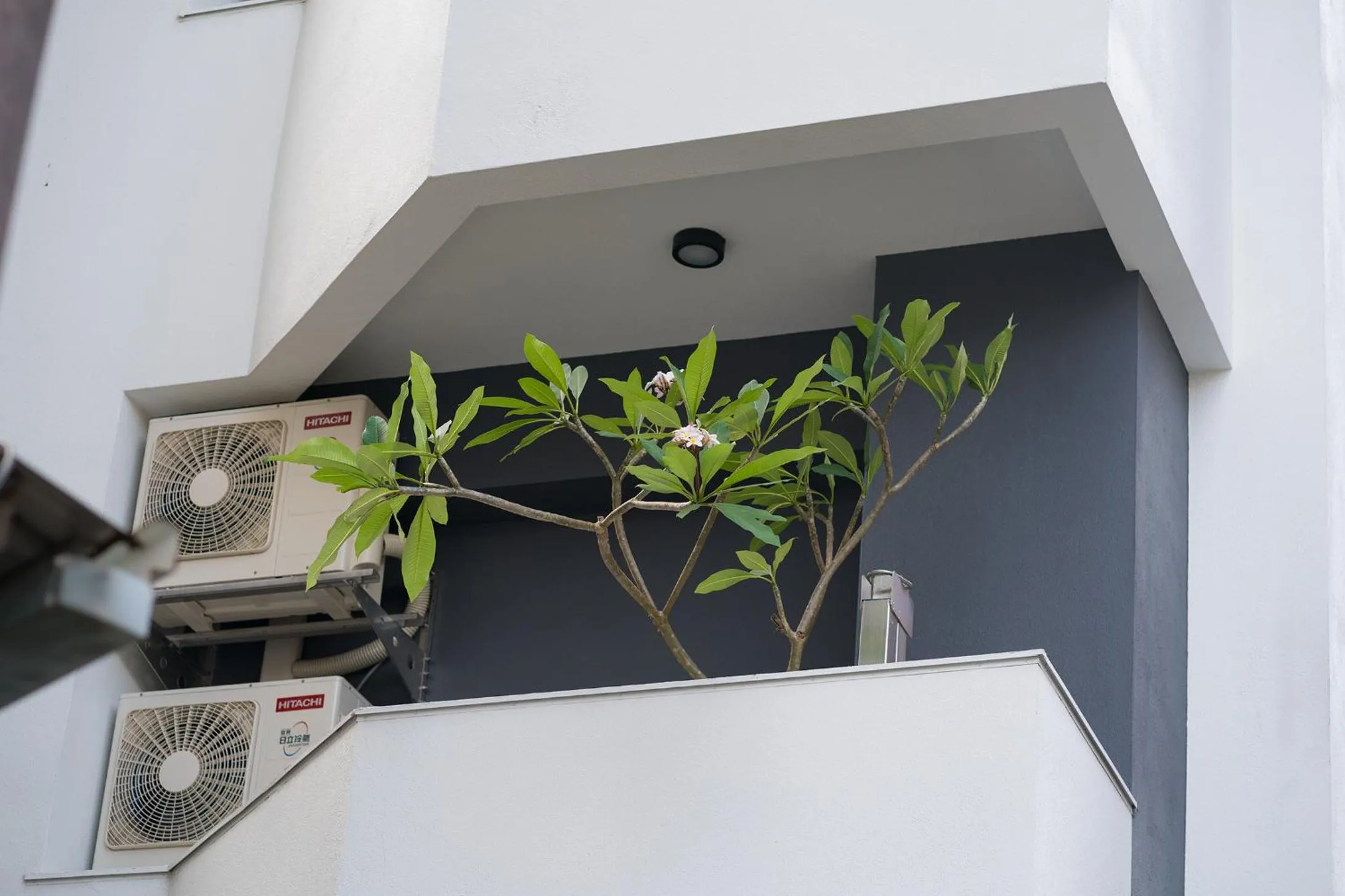 Property building in The Way Inn