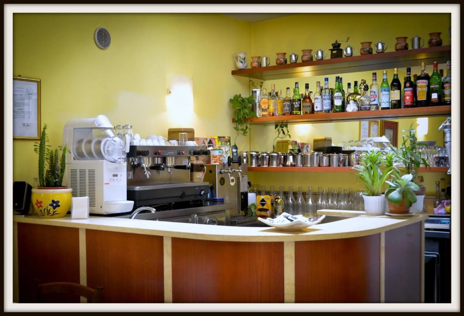 Lounge or bar in Hotel Del Golfo