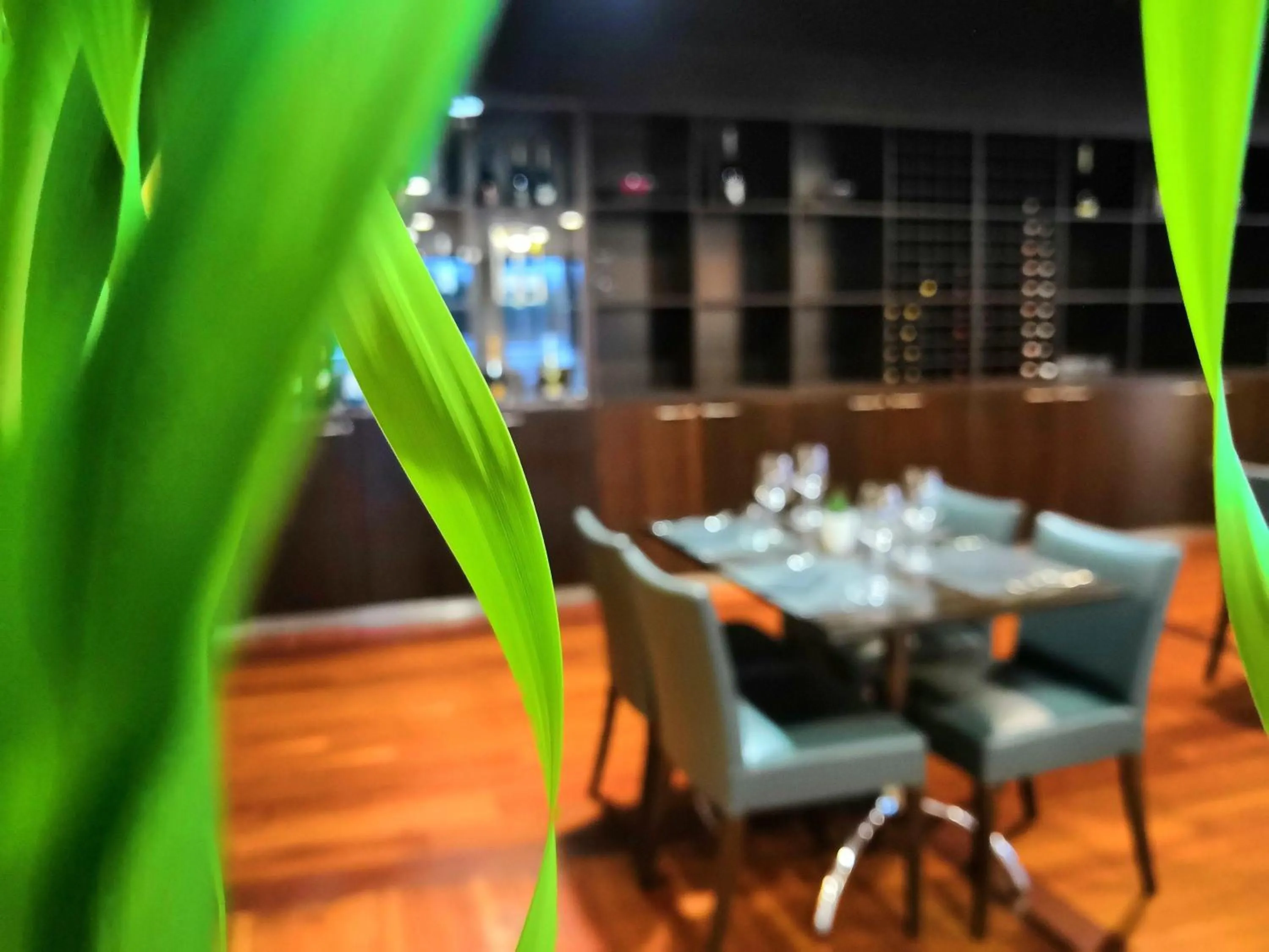 Restaurant/places to eat in Mercure Leonardo da Vinci Rome Airport