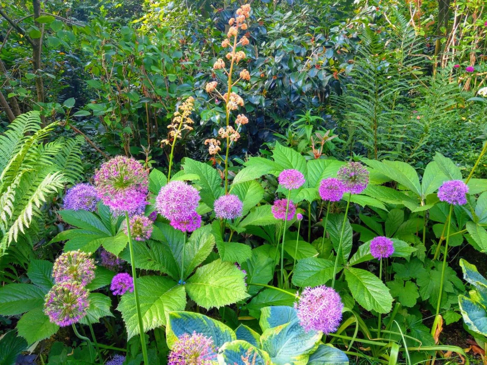 Garden in B&B Jossefin Tuinen