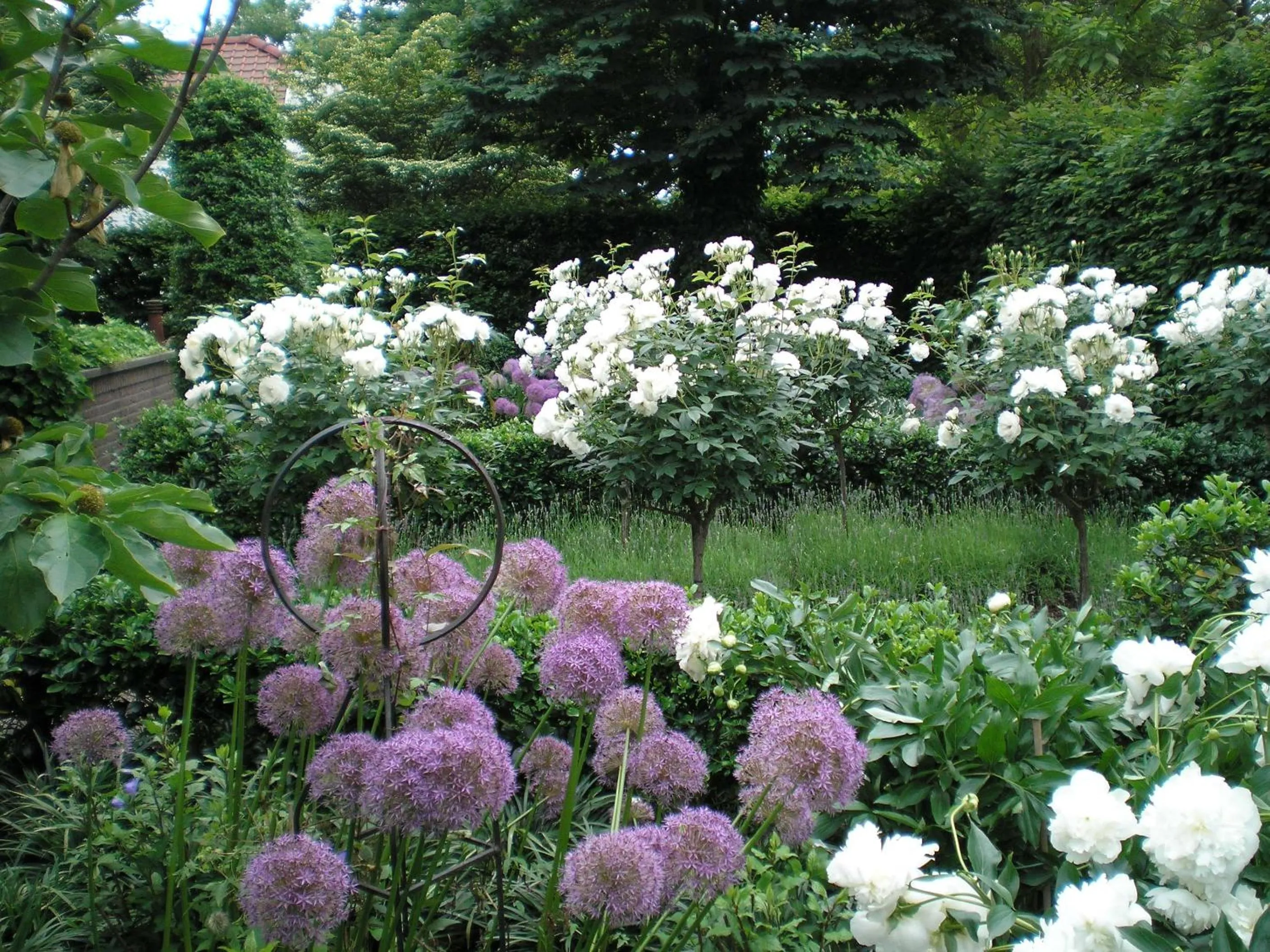 Garden in B&B Jossefin Tuinen