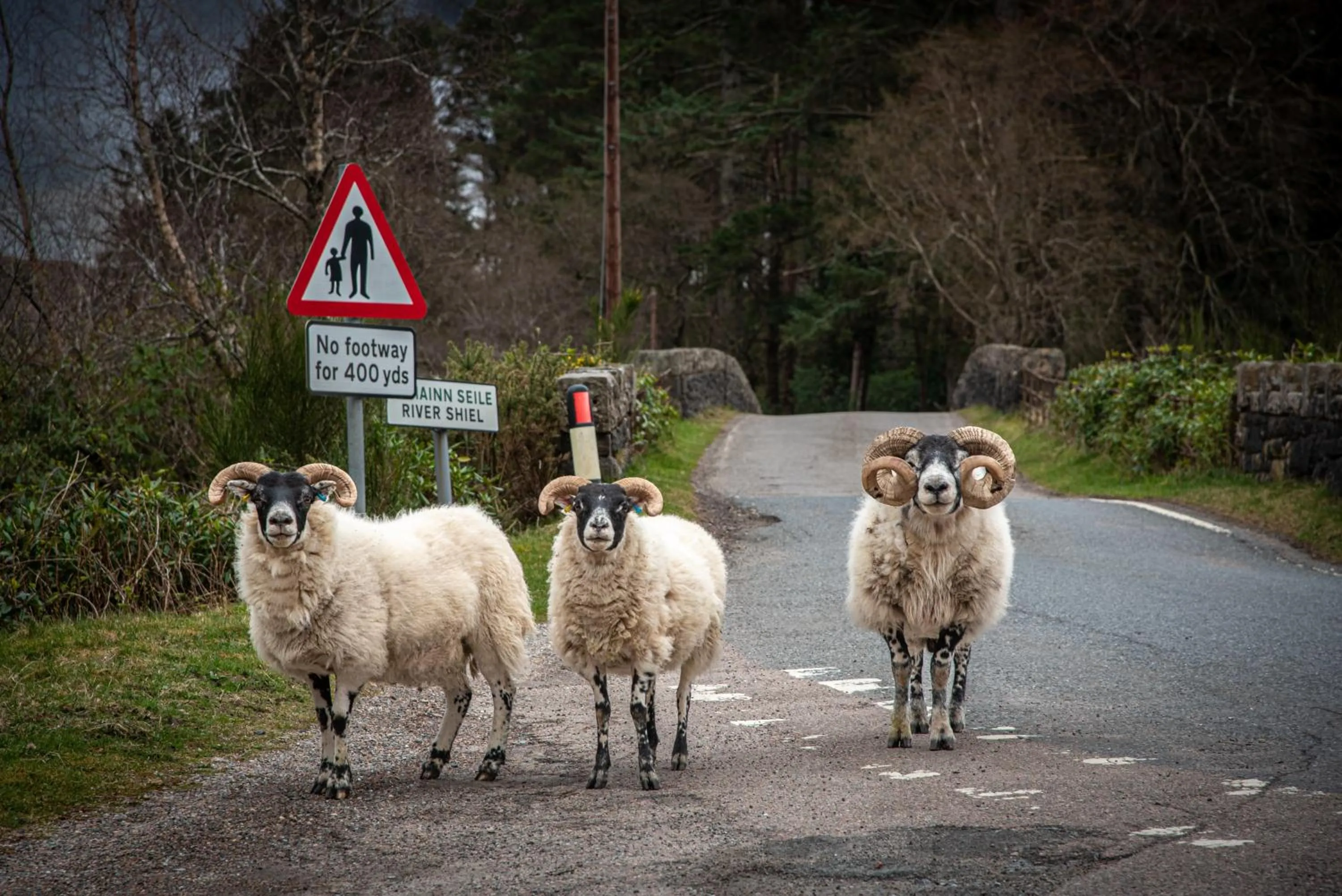 Innes House Bed & Breakfast