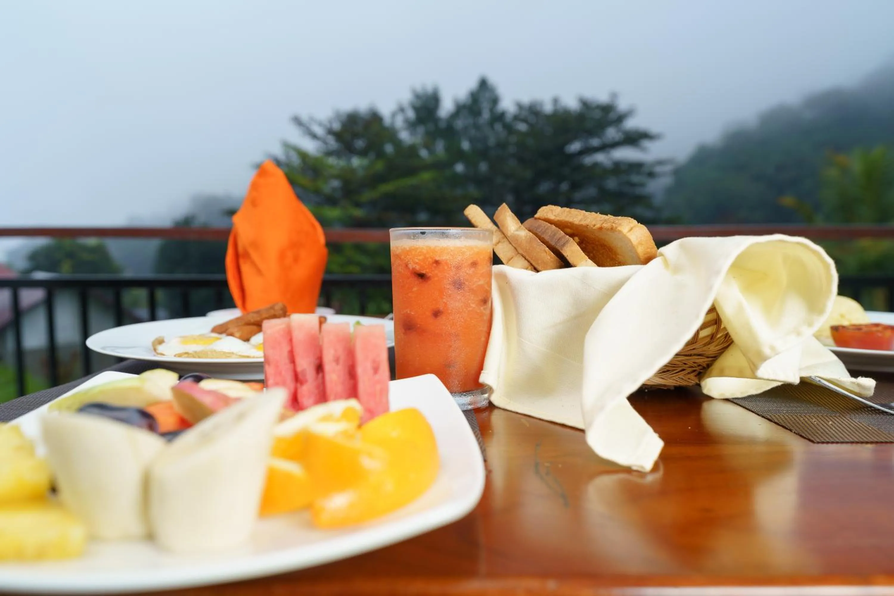 Natural landscape in Hotel Travellers Nest Kandy