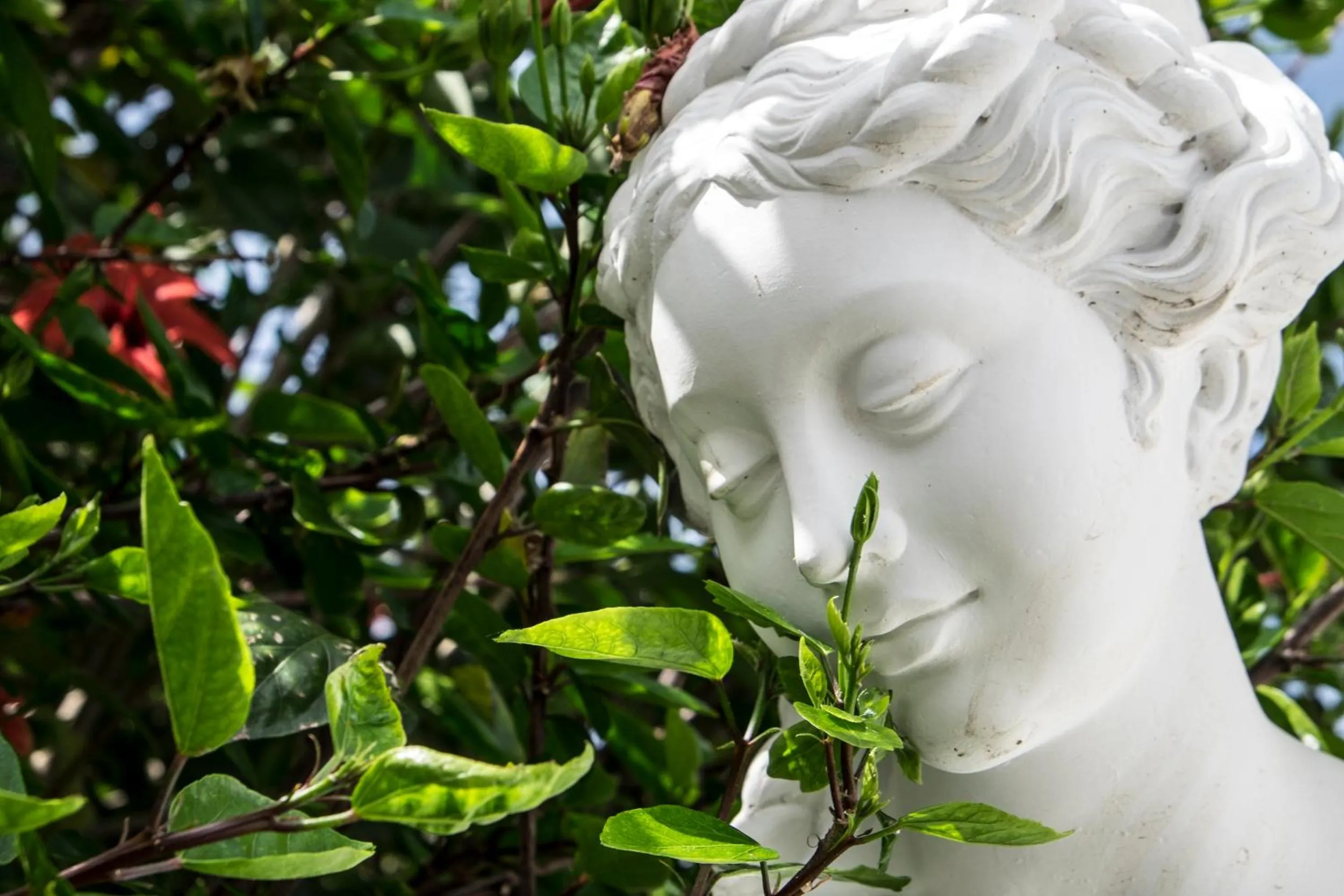 Garden in Grand Hotel & des Anglais Spa