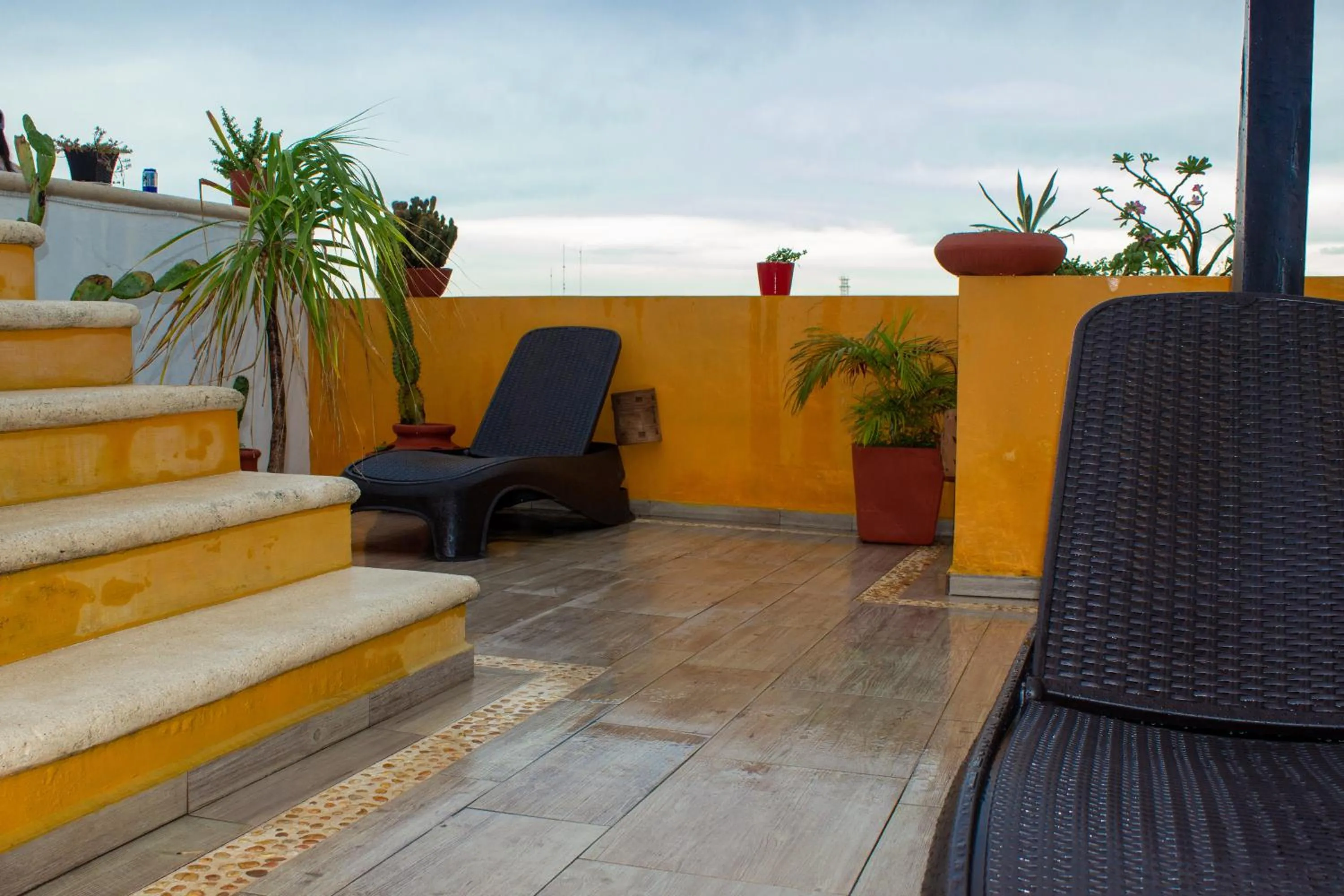 Patio in Hotel Eleven