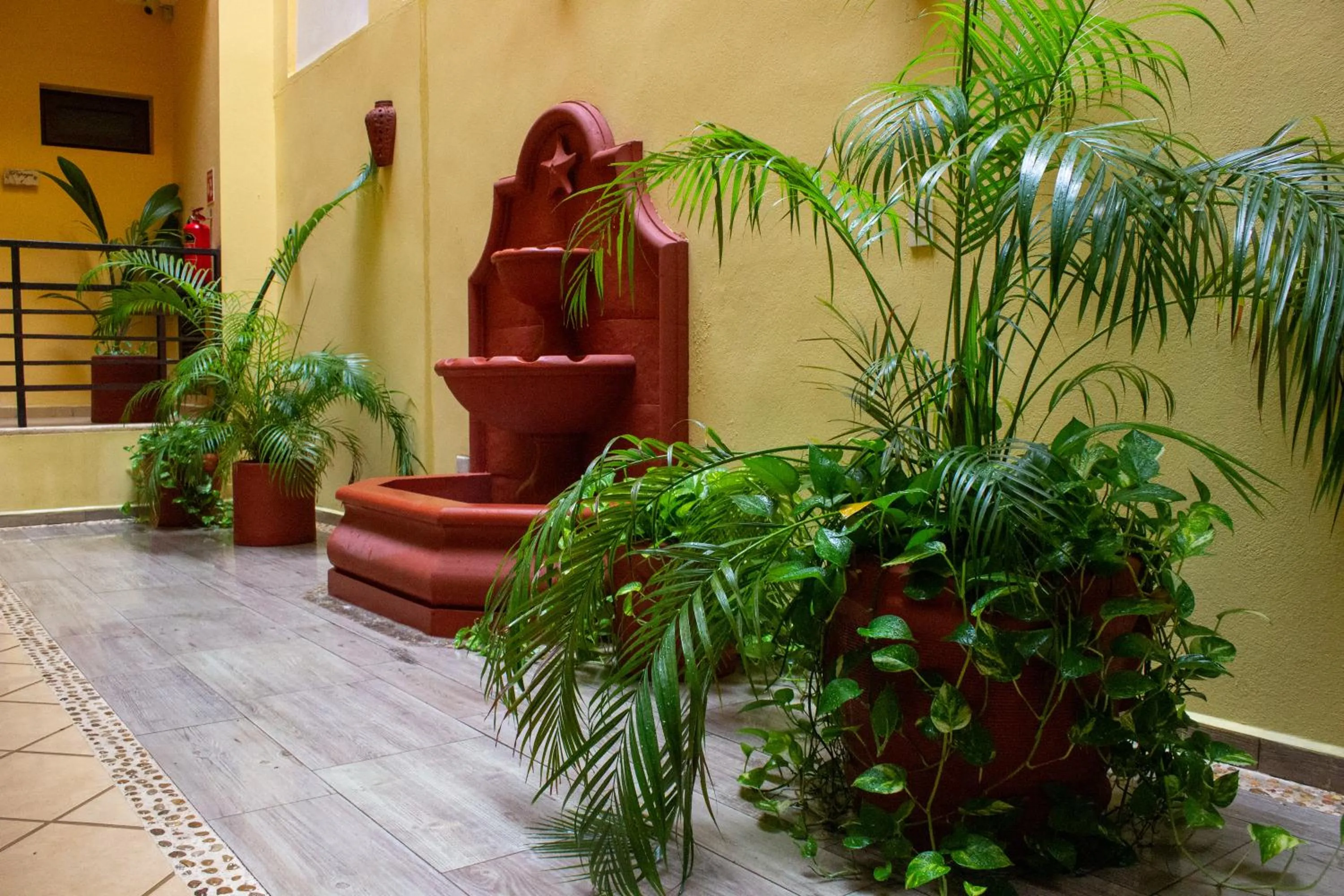 Garden in Hotel Eleven