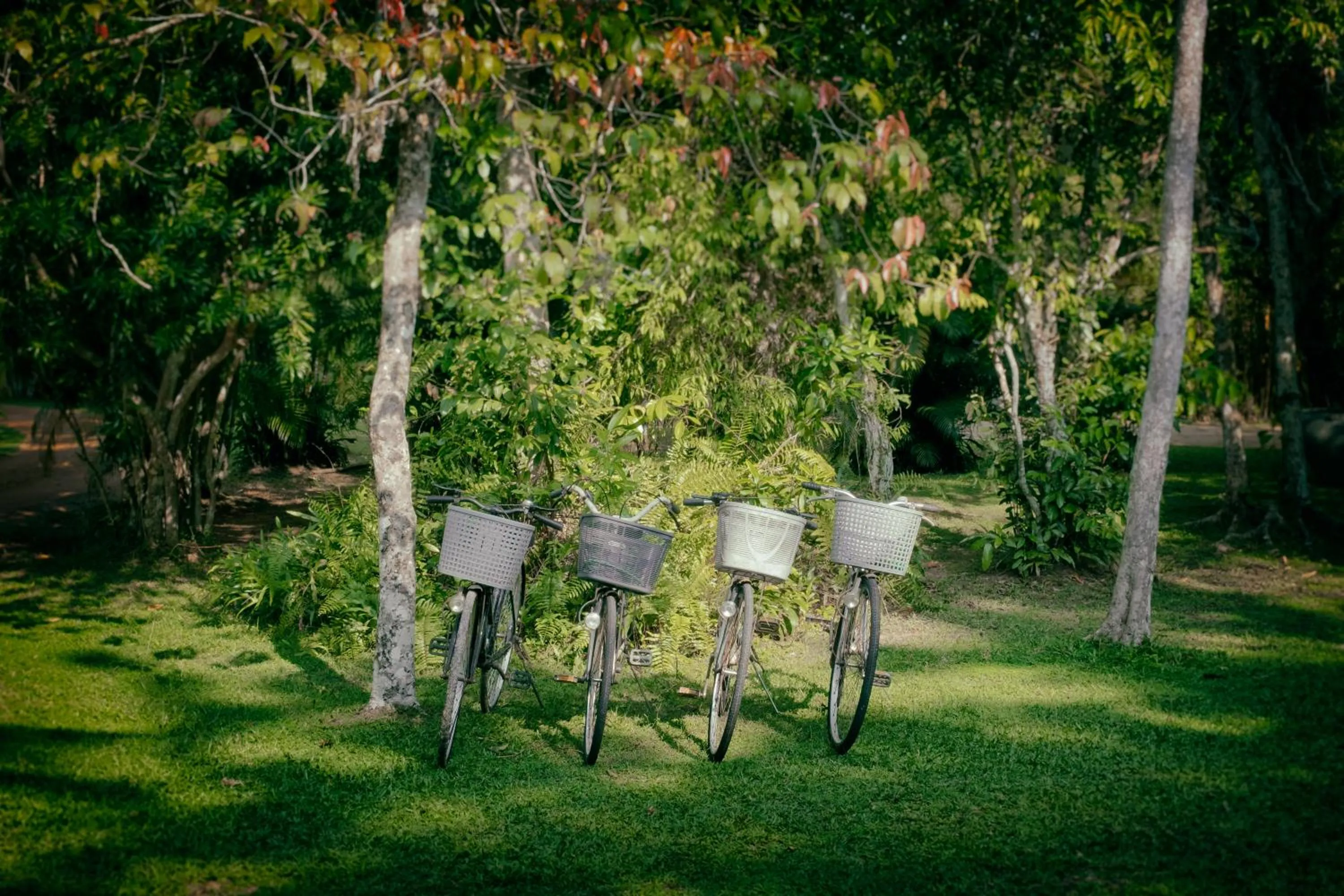 Garden in Nisala Arana Boutique Hotel