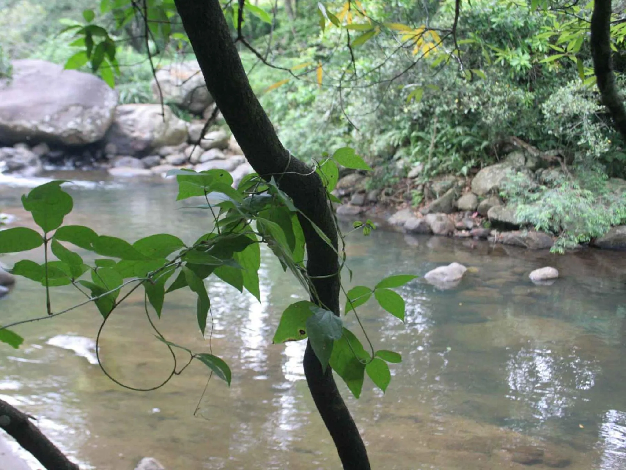 Area and facilities in River Garden Resort