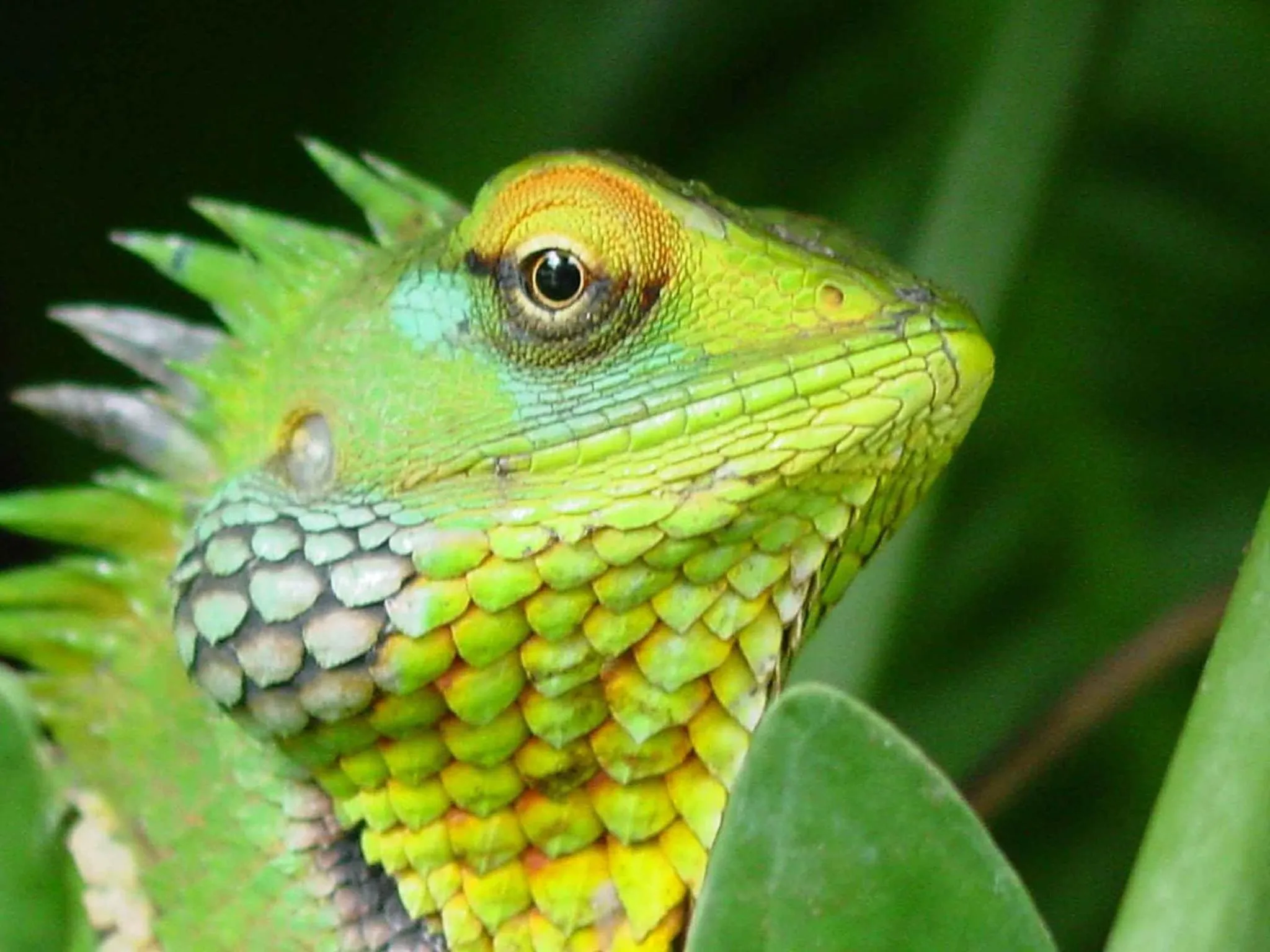 Natural landscape in River Garden Resort