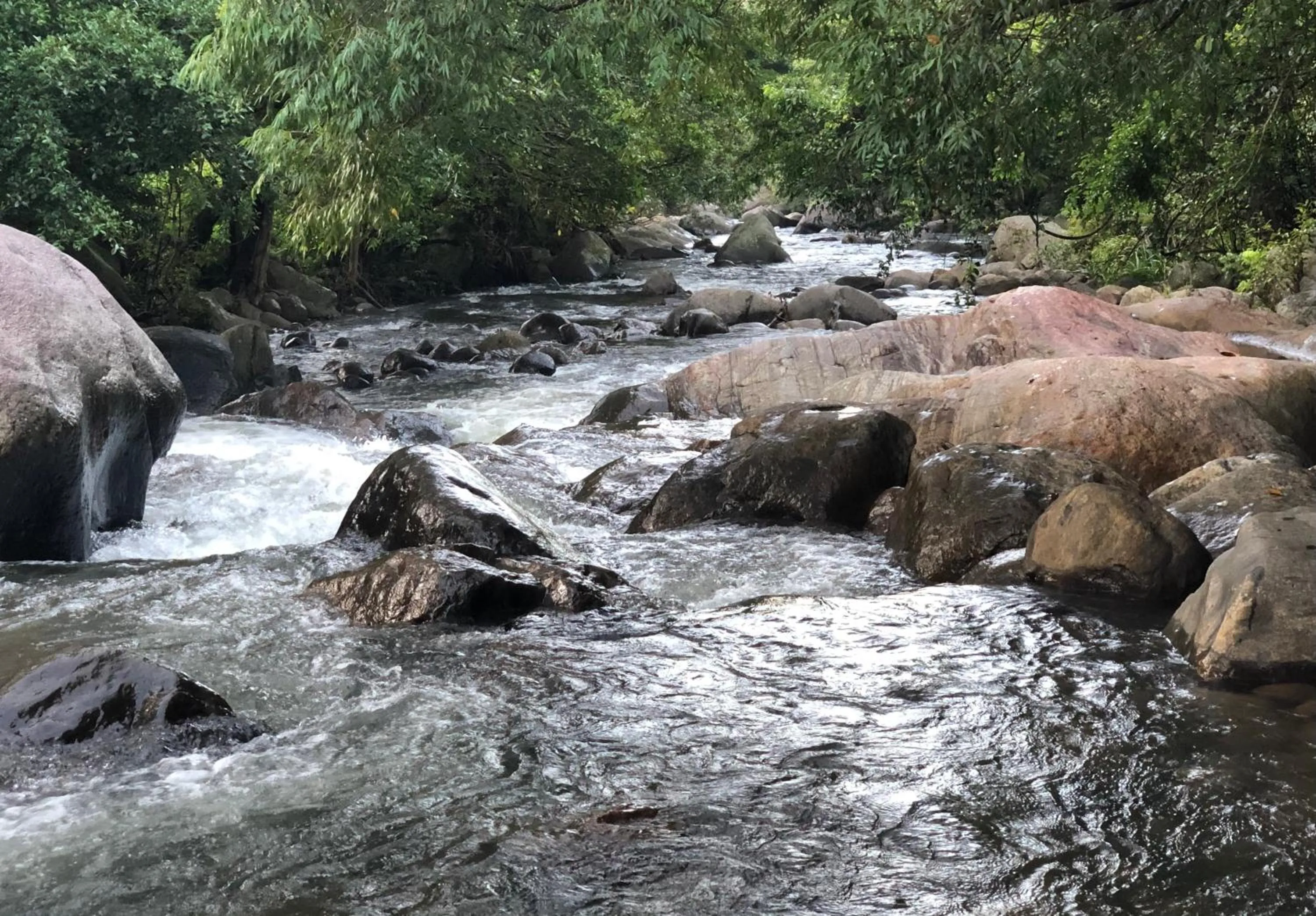 Natural landscape in River Garden Resort