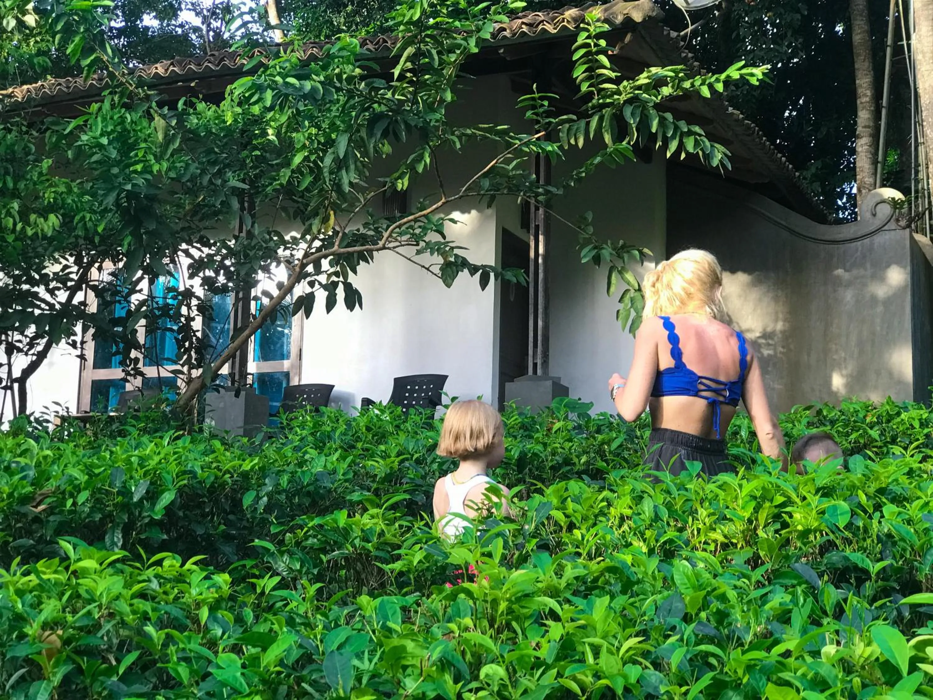 Natural landscape in Leisure Land