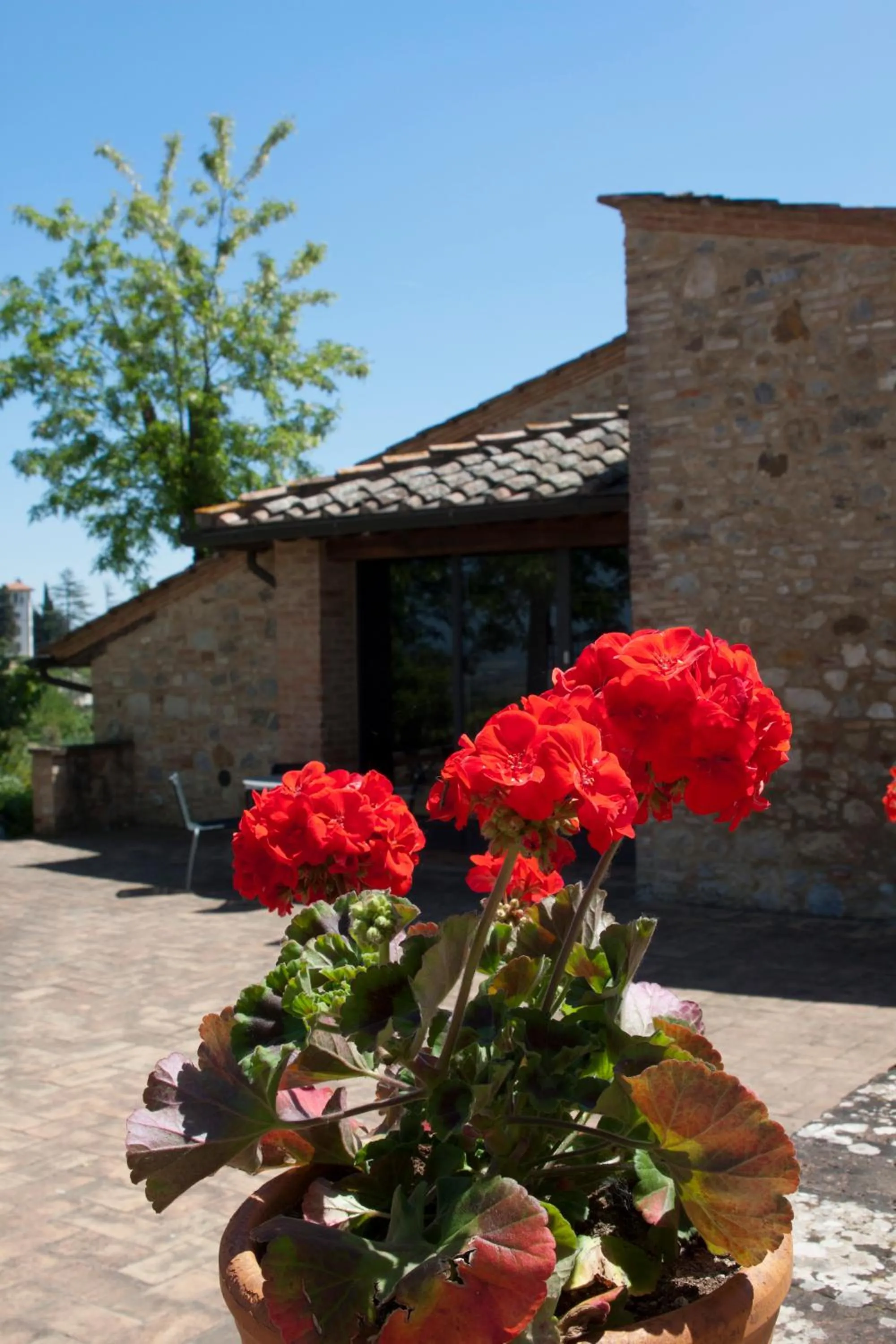 Garden view in Villa Ducci