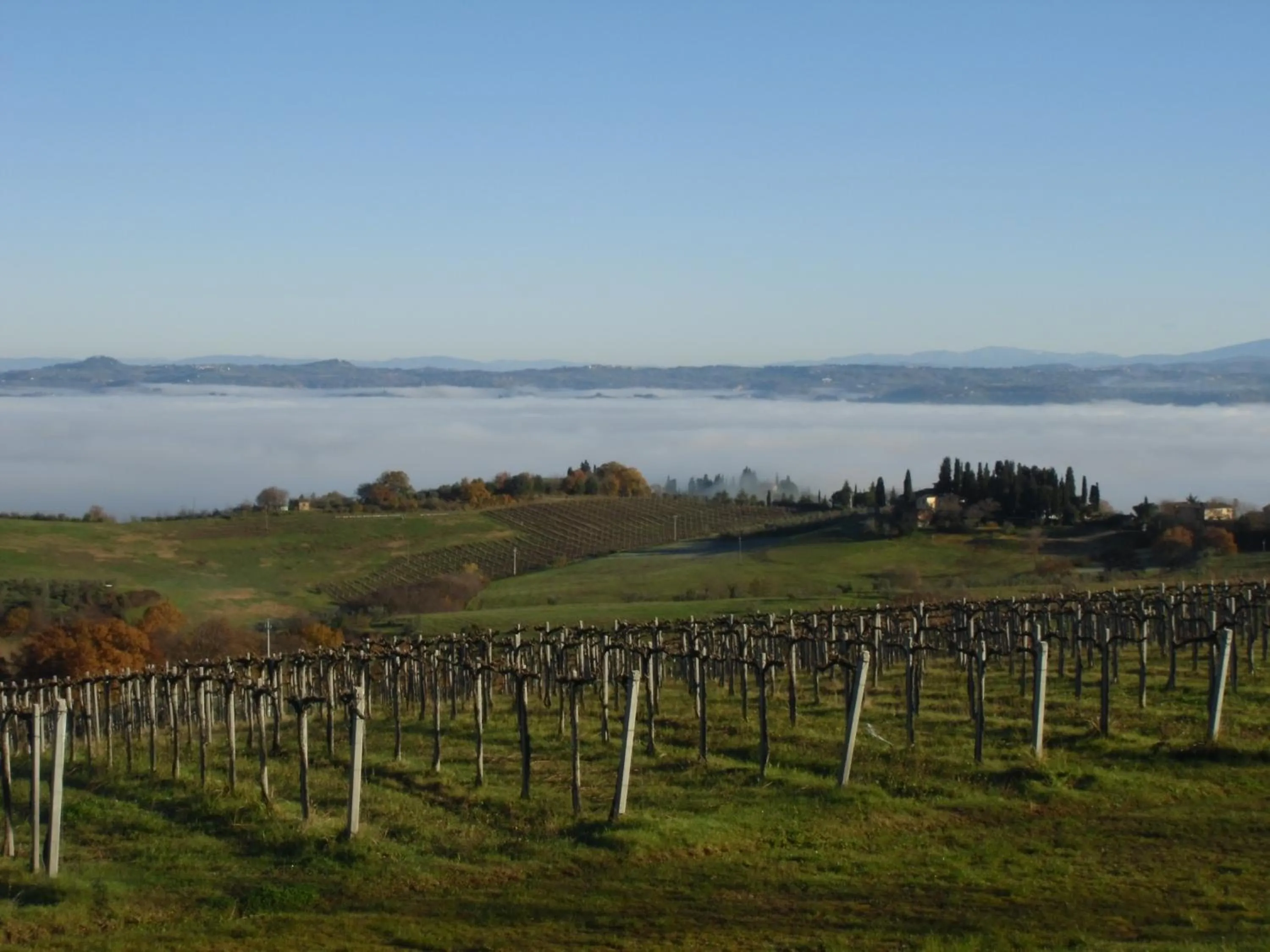 Other in Villa Ducci