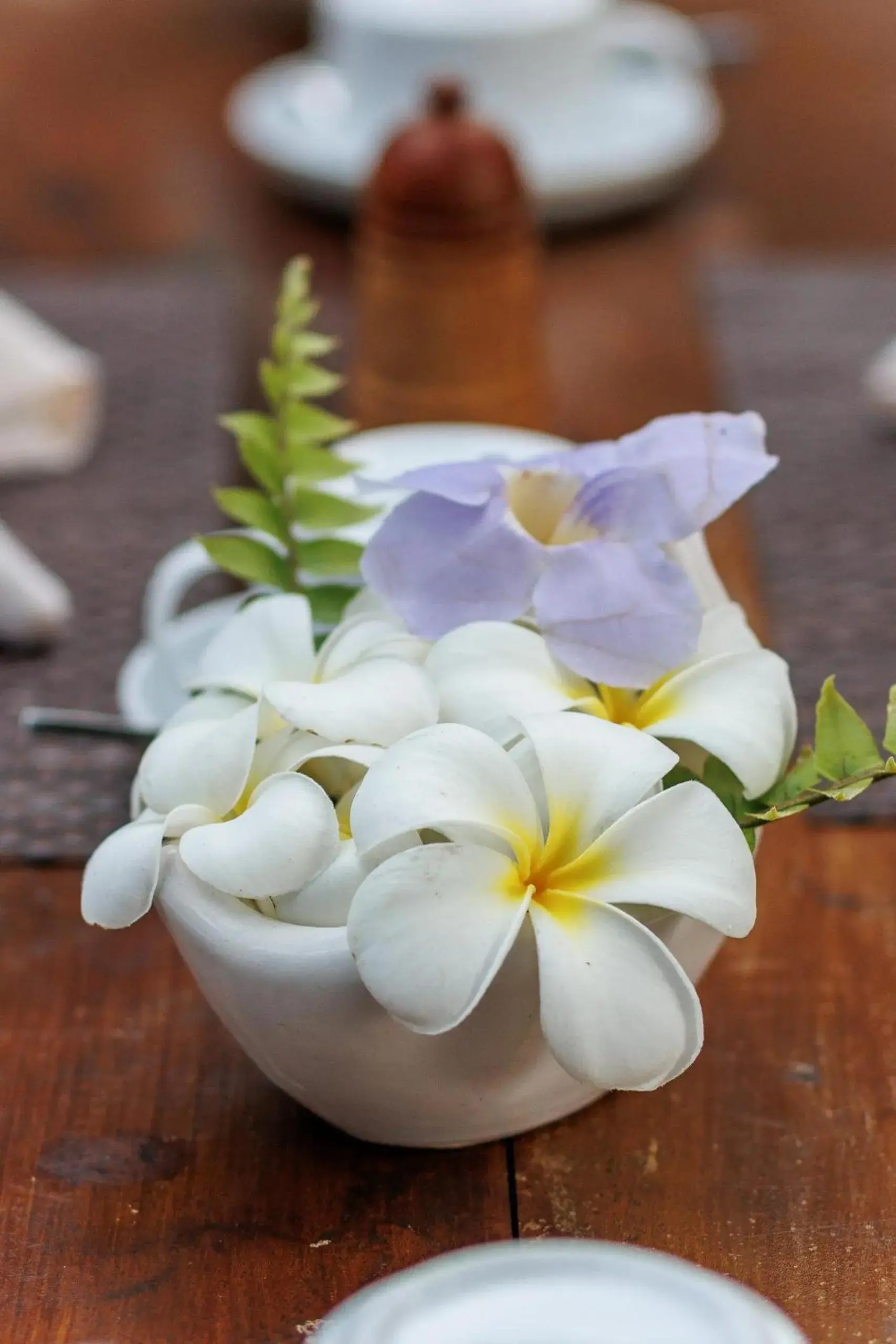 Restaurant/places to eat in Villa White Queen Resort & Spa Restaurant/places to eat in Villa White Queen Resort & Spa