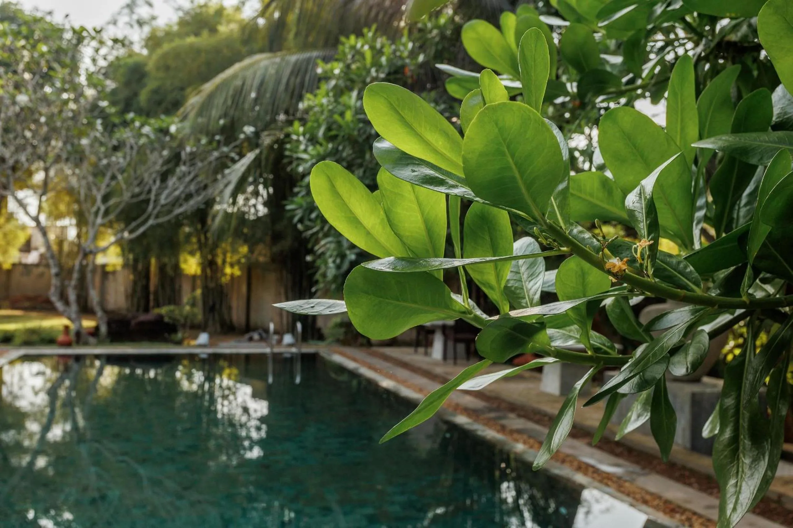Swimming pool in Villa White Queen Resort & Spa